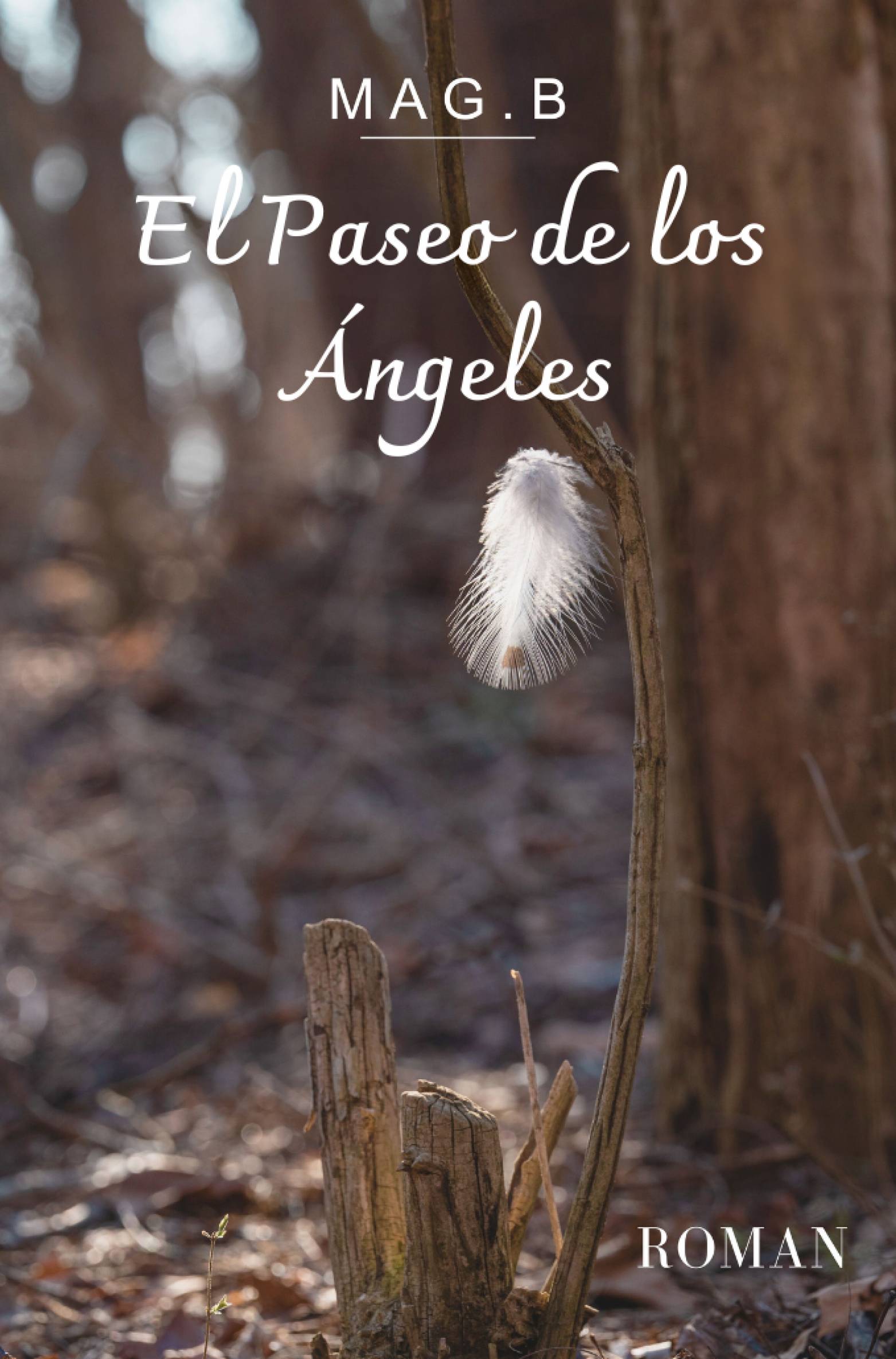 This image is the cover for the book El Paseo de los Ángeles