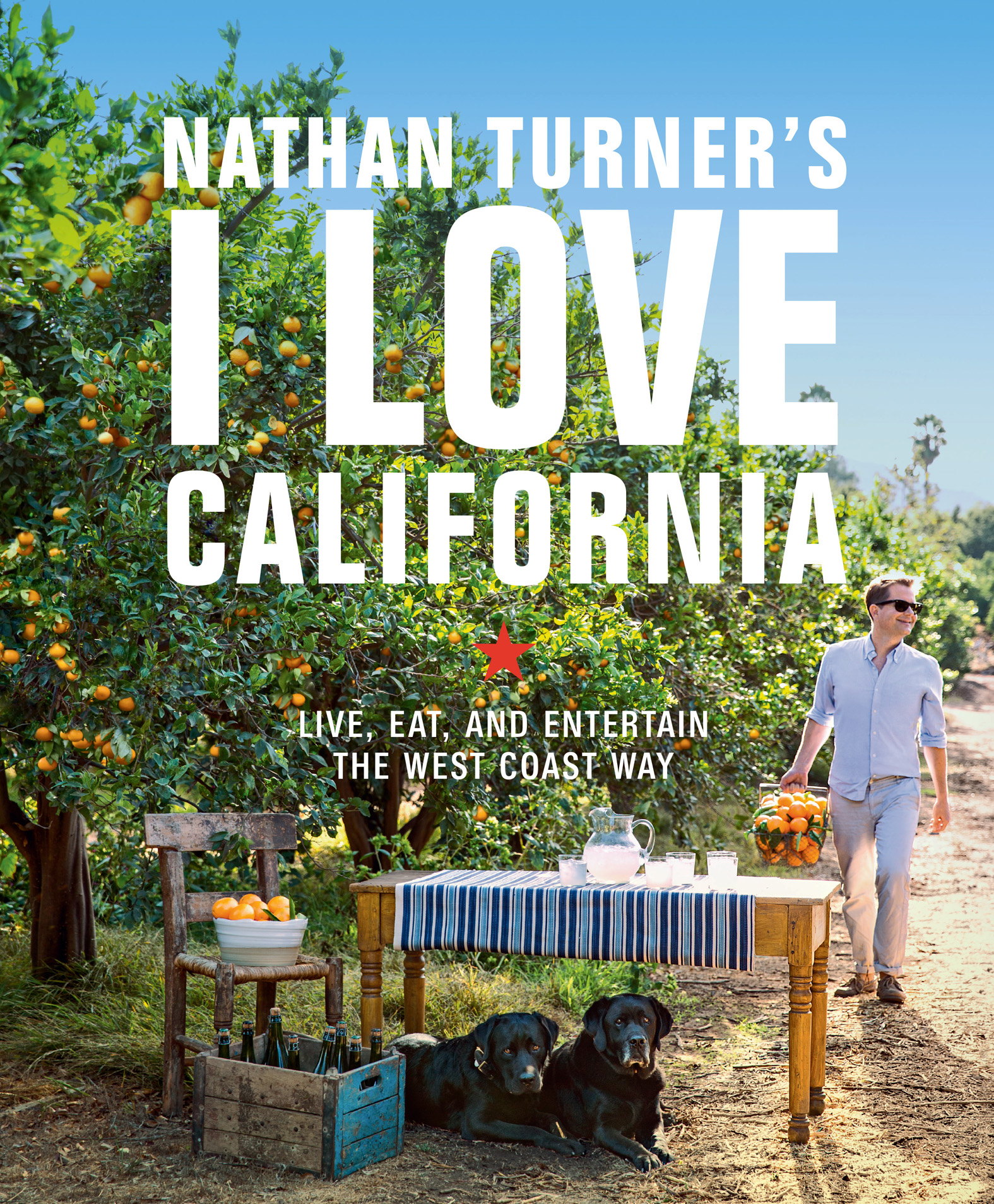This image is the cover for the book Nathan Turner's I Love California
