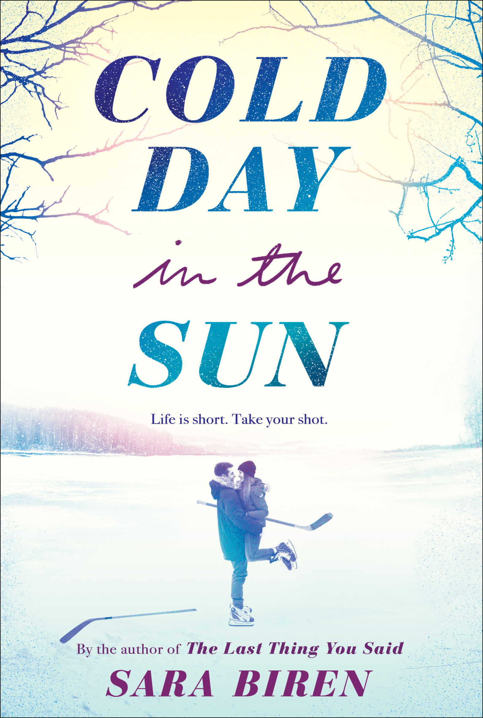 This image is the cover for the book Cold Day in the Sun