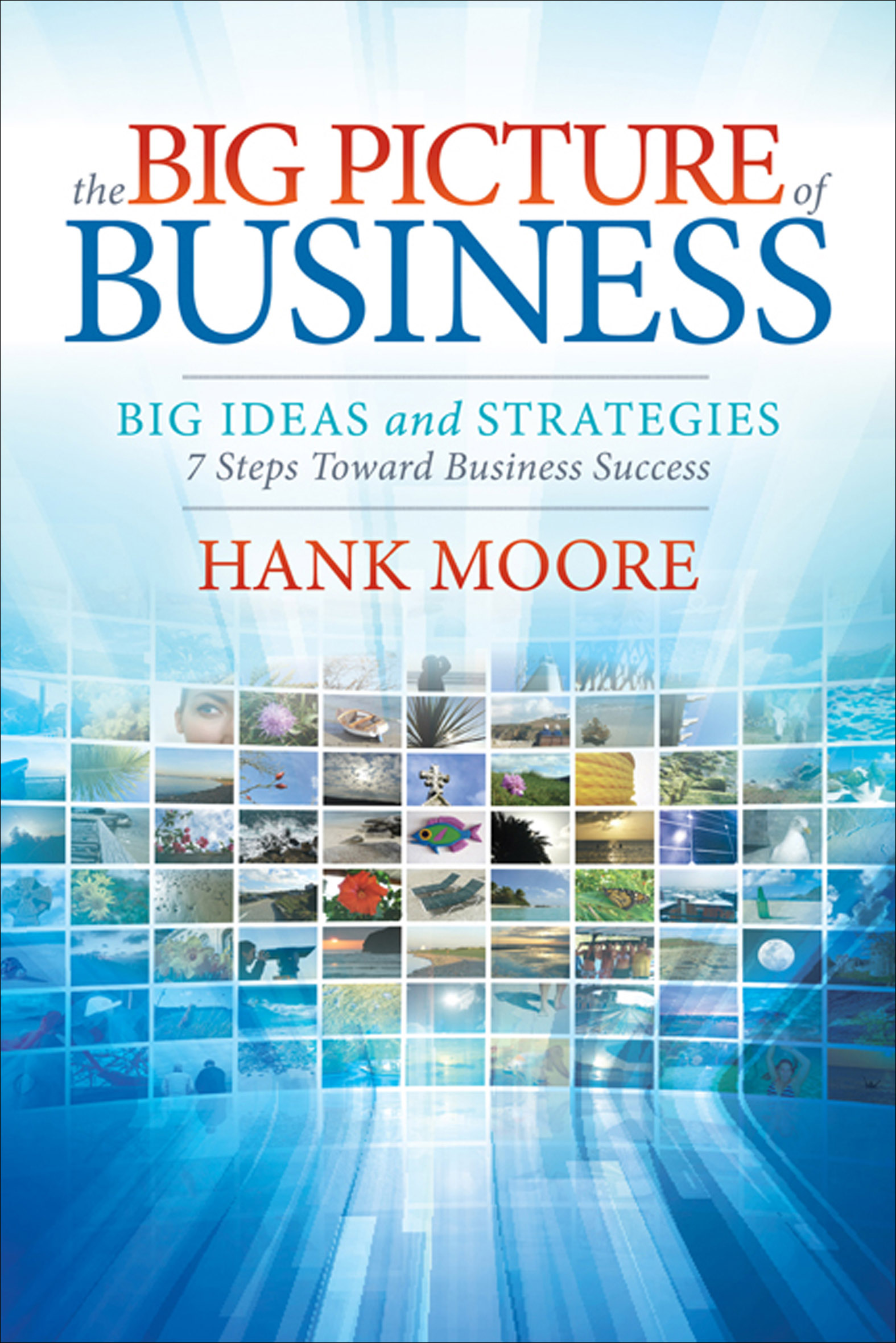 This image is the cover for the book Big Picture of Business