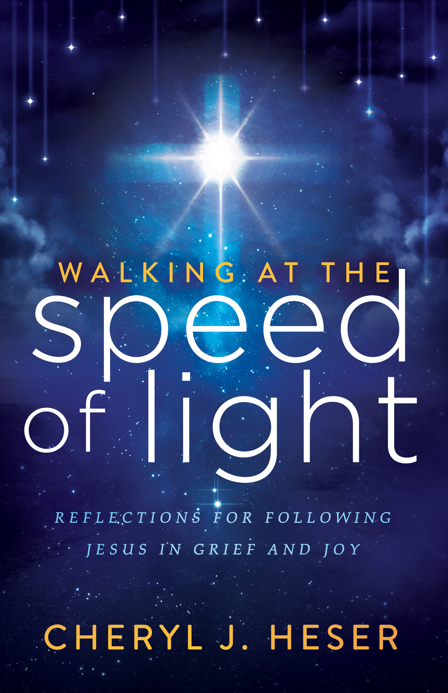 This image is the cover for the book Walking at the Speed of Light
