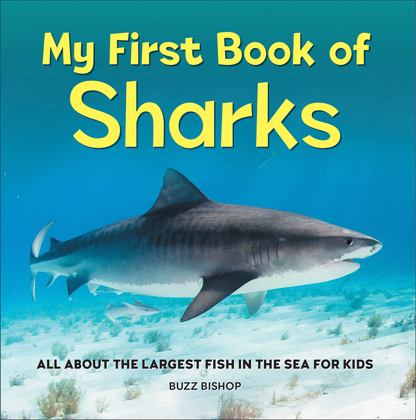 This image is the cover for the book My First Book of Sharks