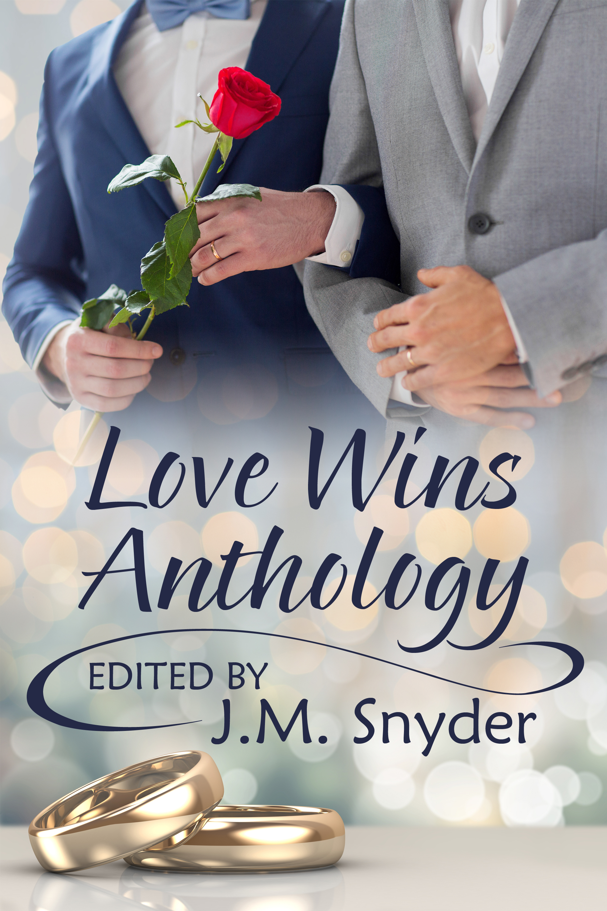 This image is the cover for the book Love Wins Anthology