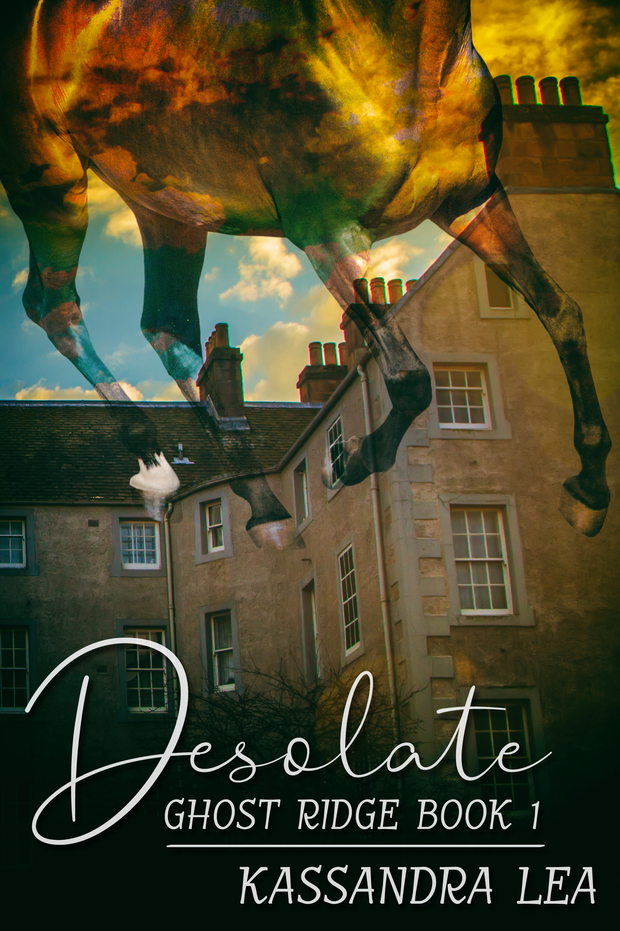 This image is the cover for the book Desolate