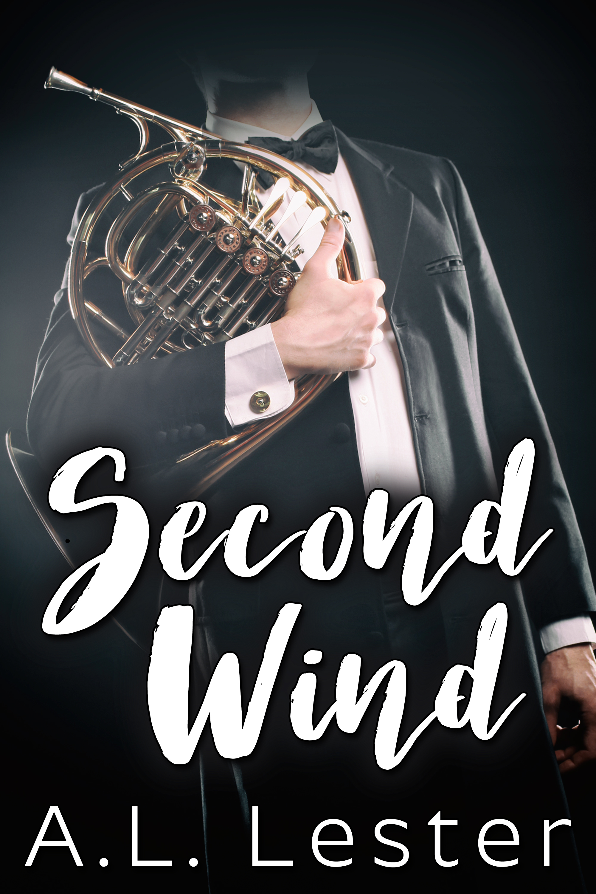 This image is the cover for the book Second Wind