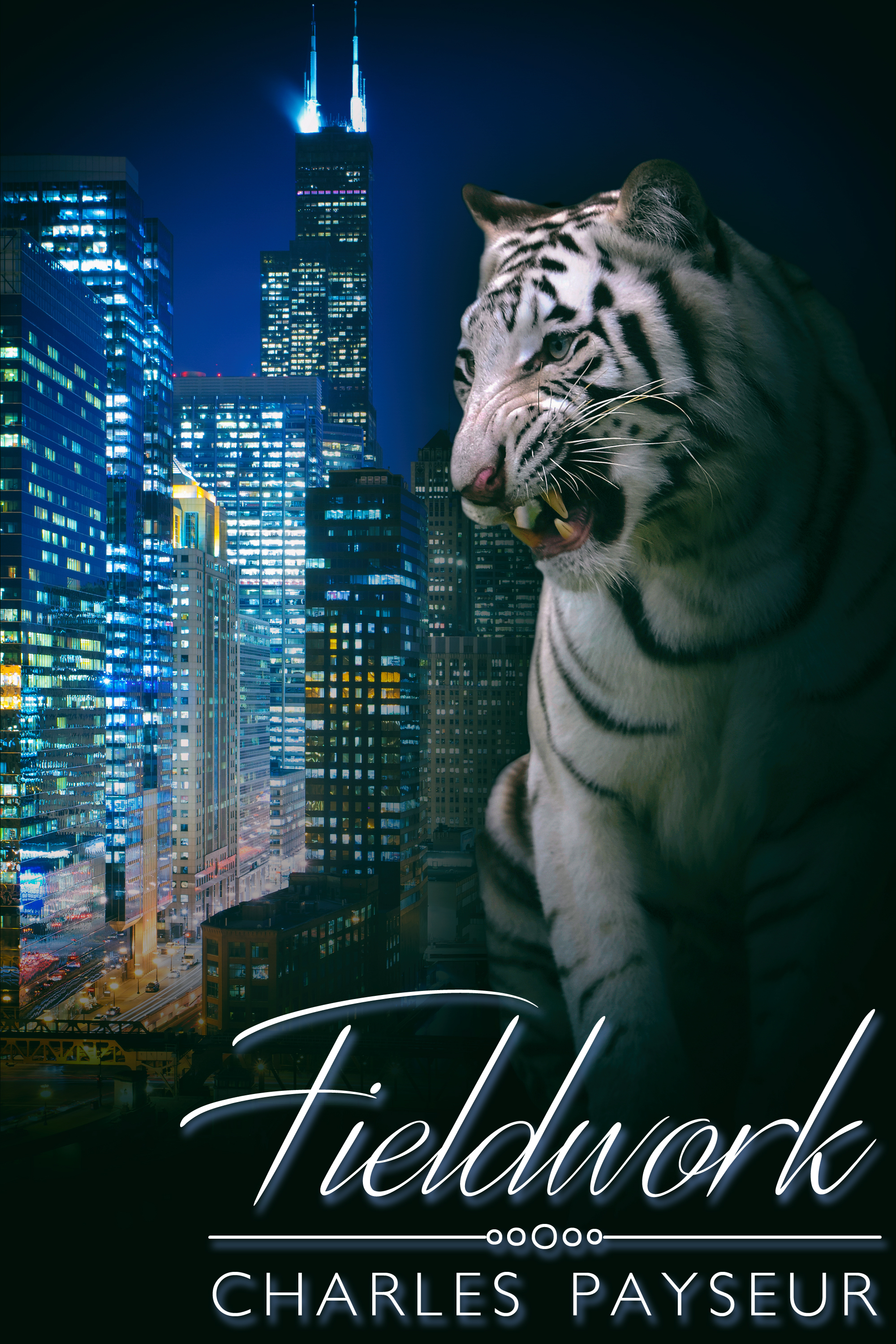 This image is the cover for the book Fieldwork