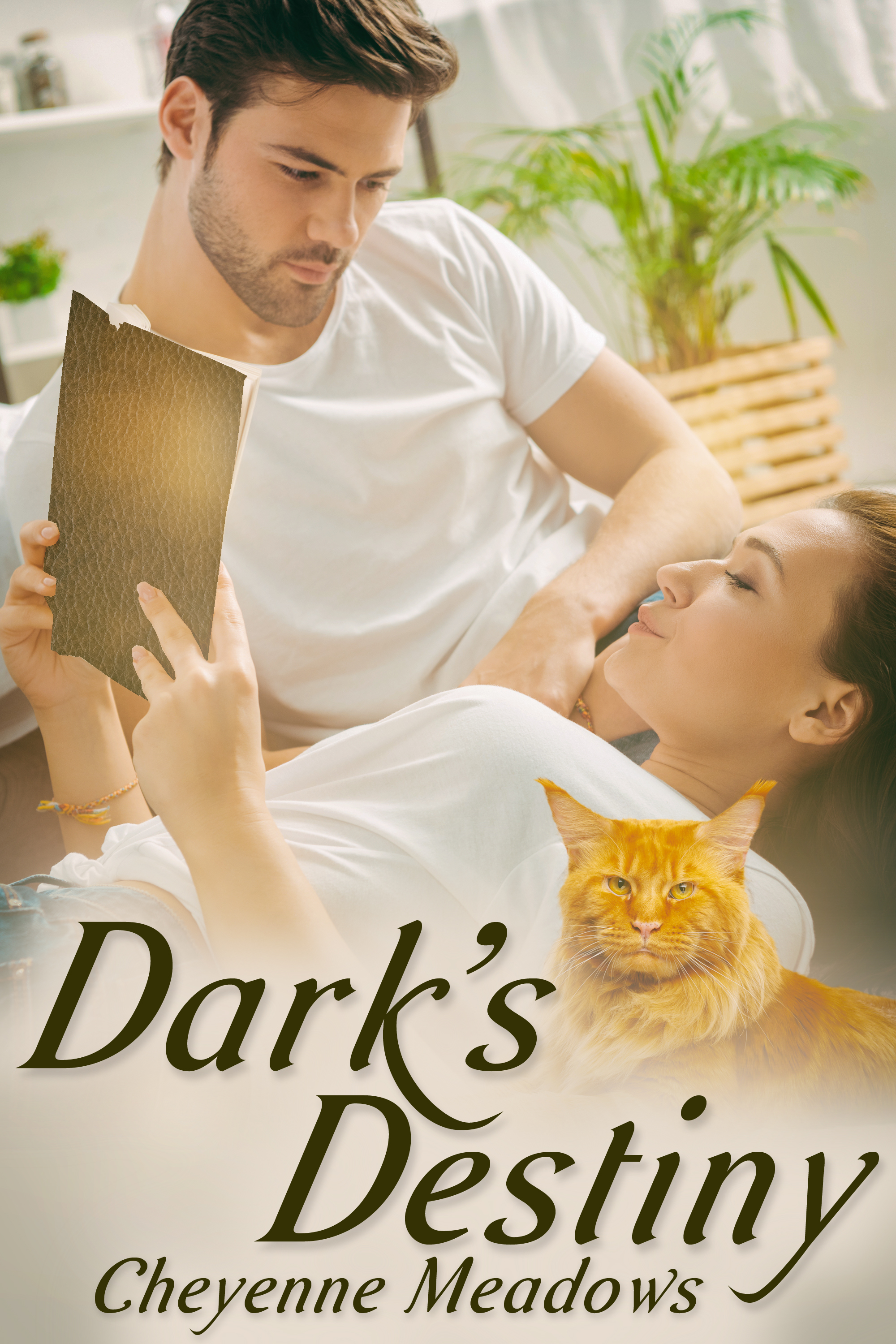 This image is the cover for the book Dark's Destiny