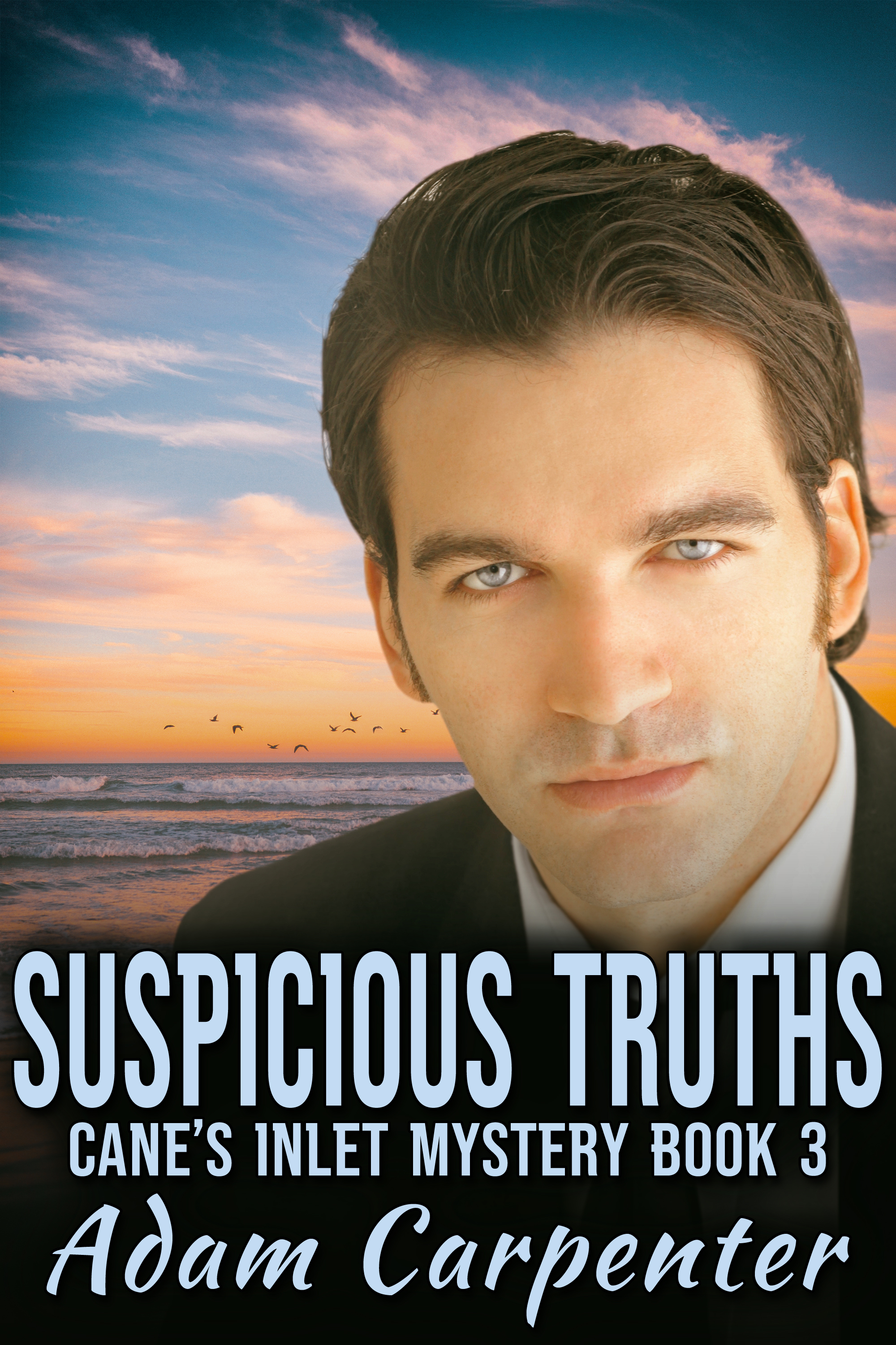 This image is the cover for the book Suspicious Truths