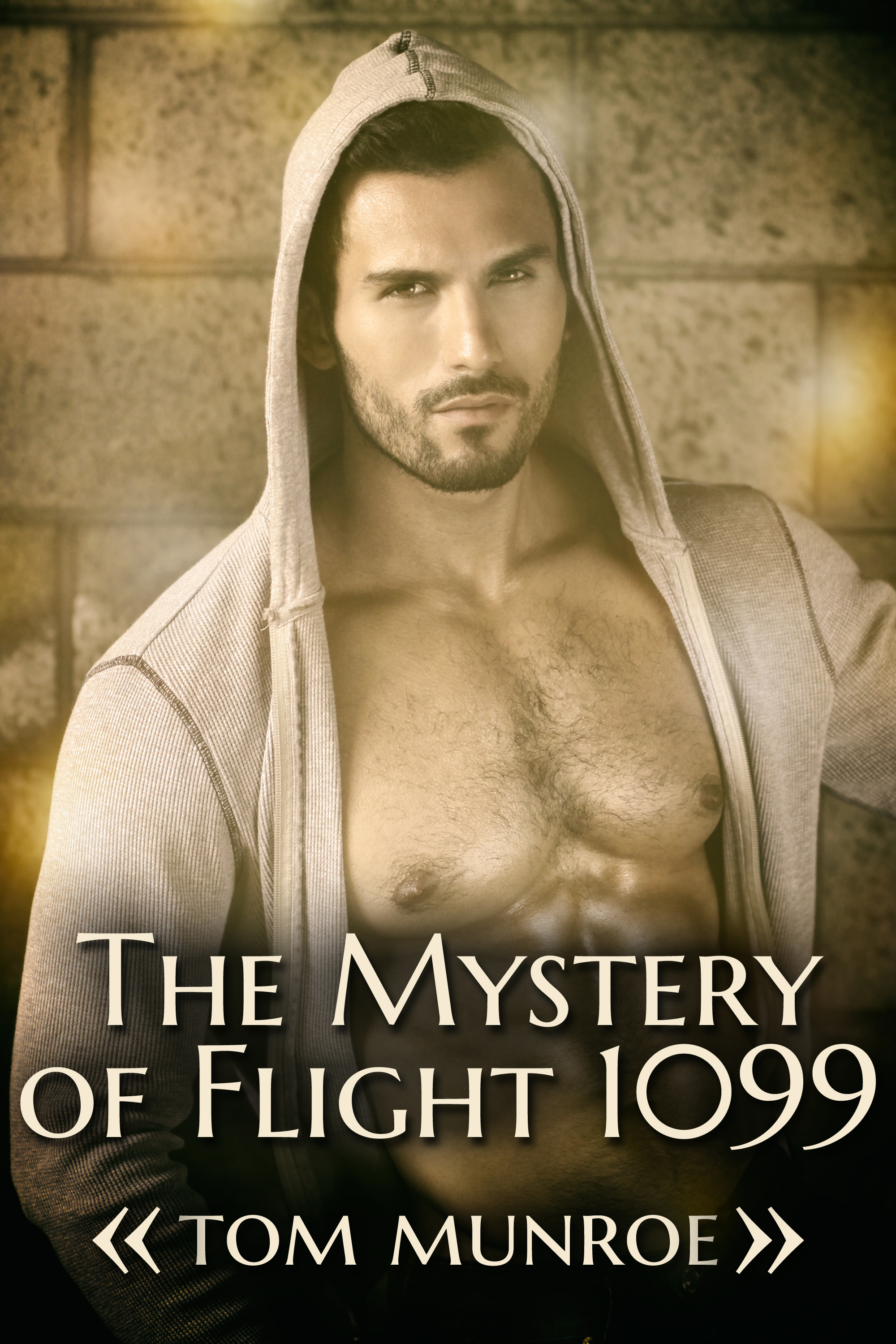 This image is the cover for the book The Mystery of Flight 1099