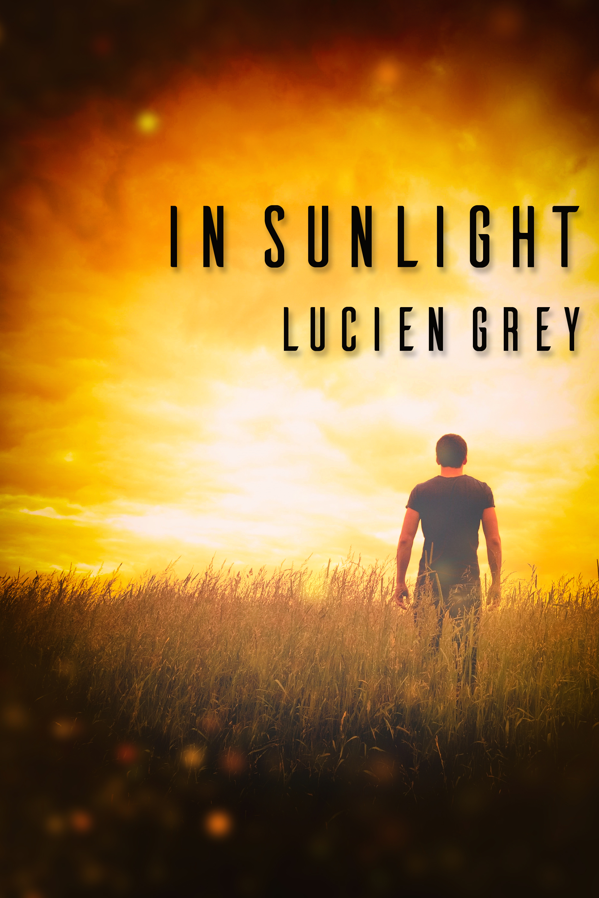 This image is the cover for the book In Sunlight