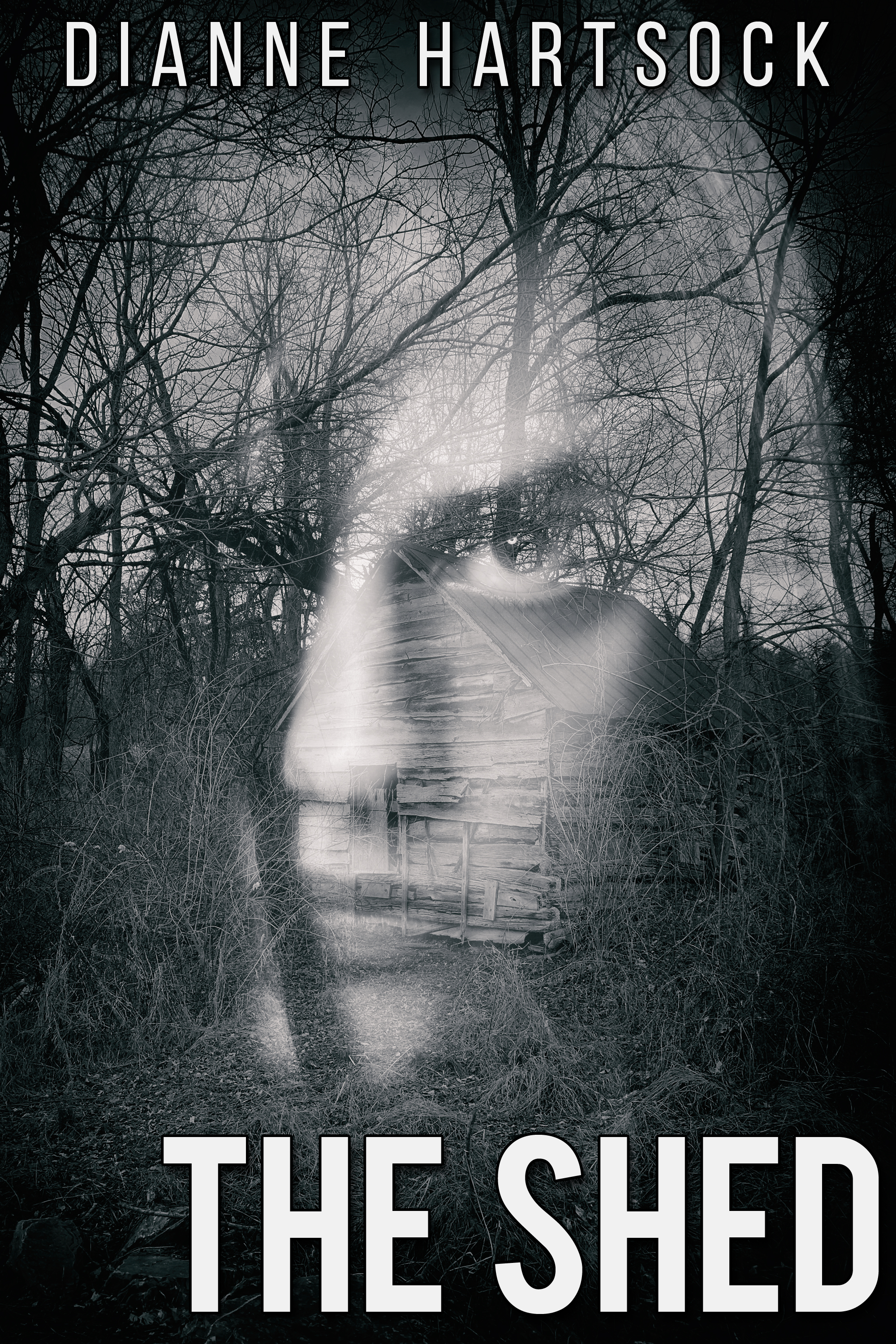 This image is the cover for the book The Shed