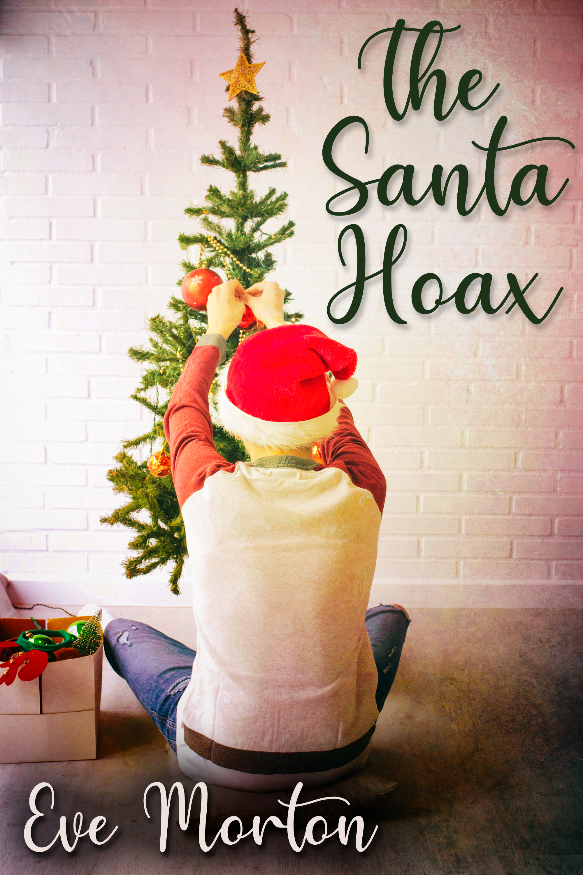 This image is the cover for the book The Santa Hoax