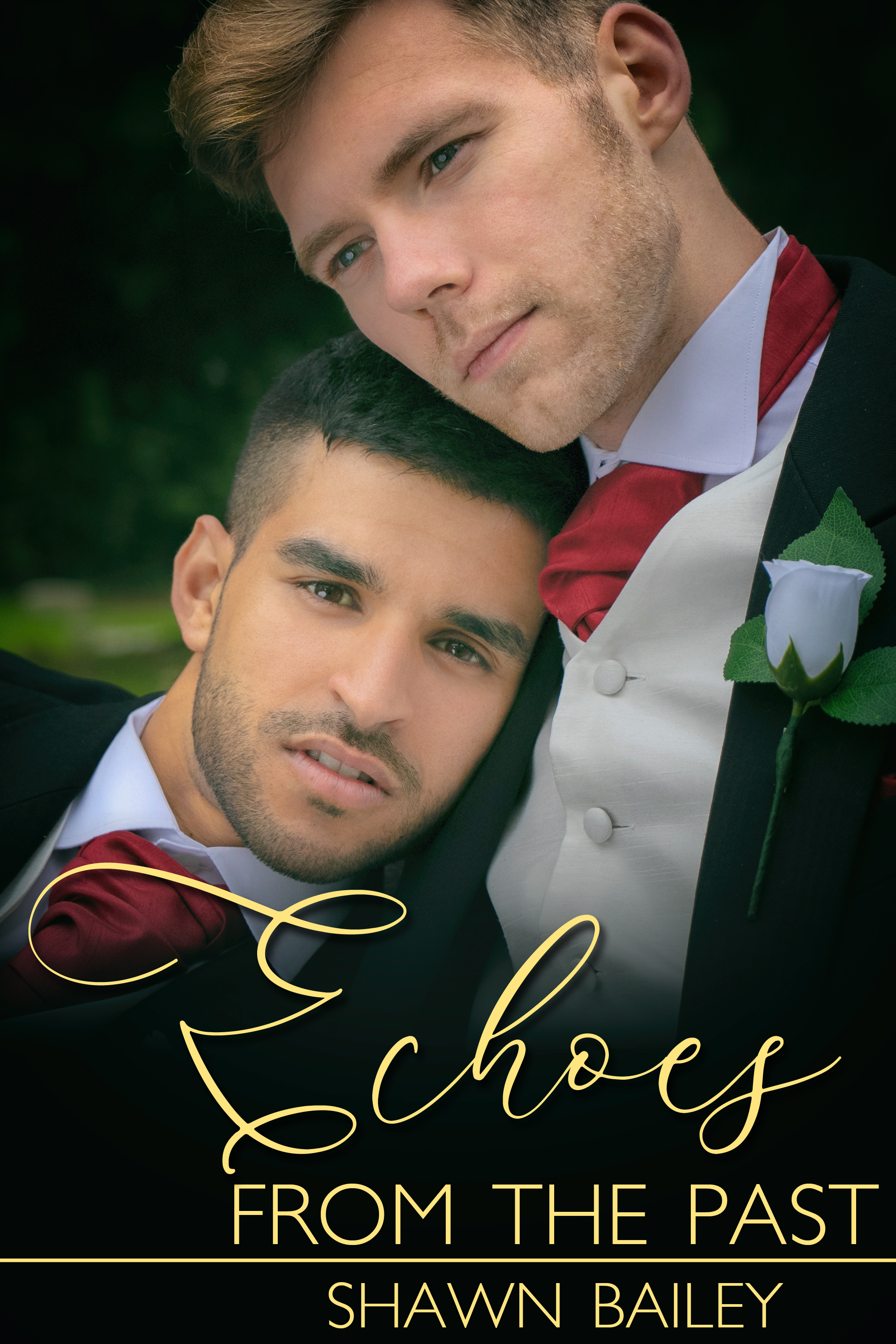 This image is the cover for the book Echoes From the Past