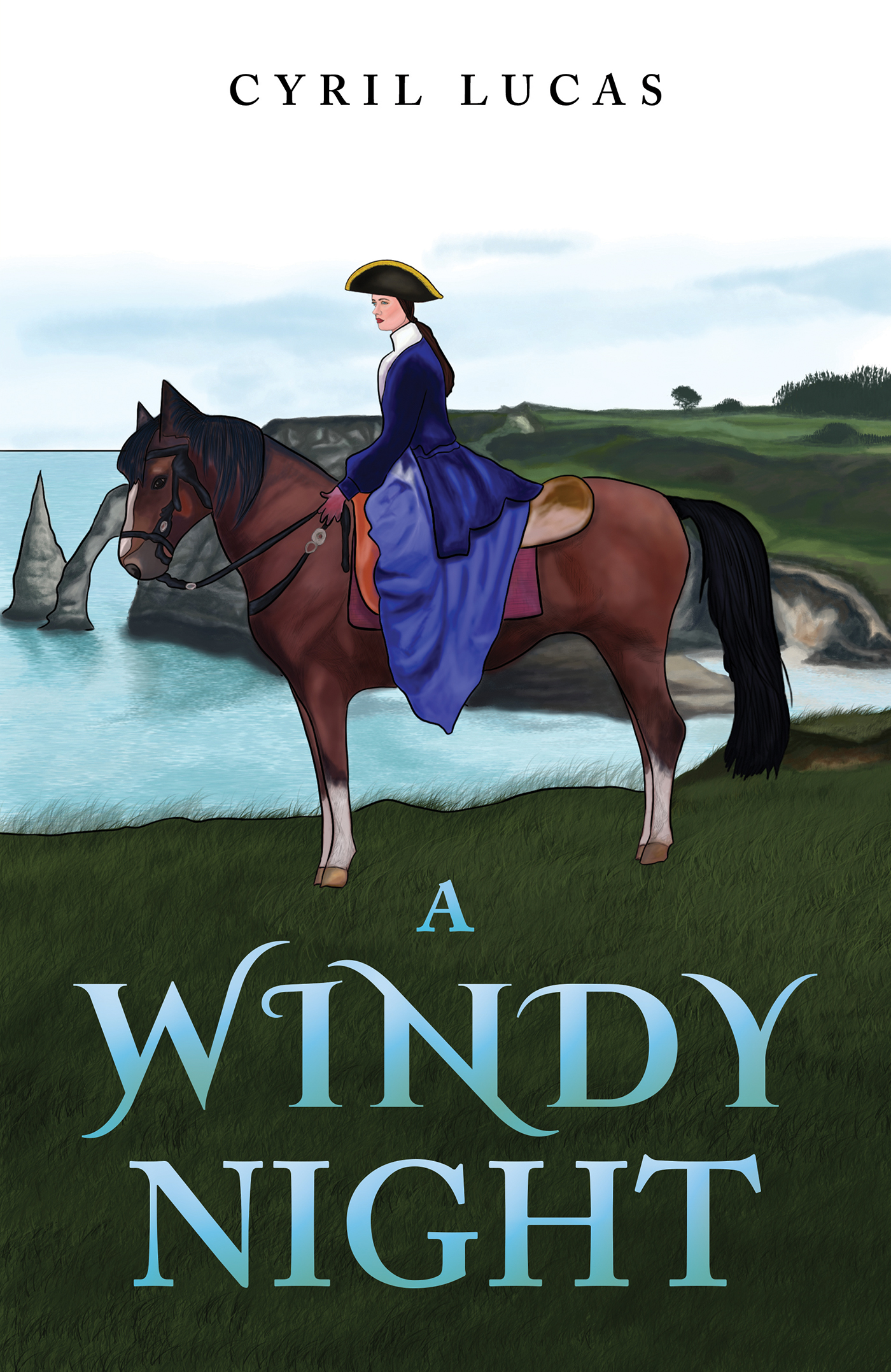 This image is the cover for the book A Windy Night