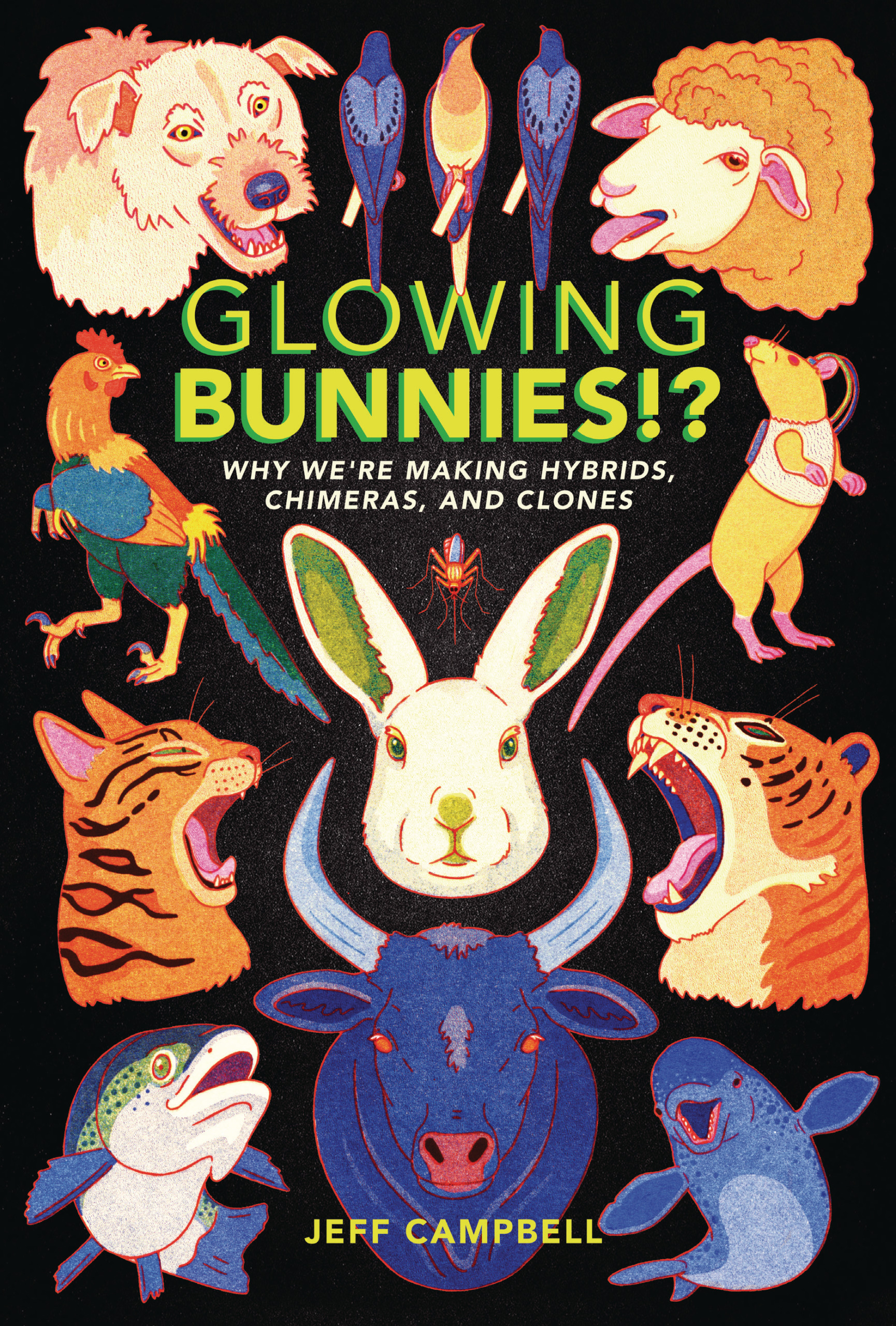 This image is the cover for the book Glowing Bunnies!?