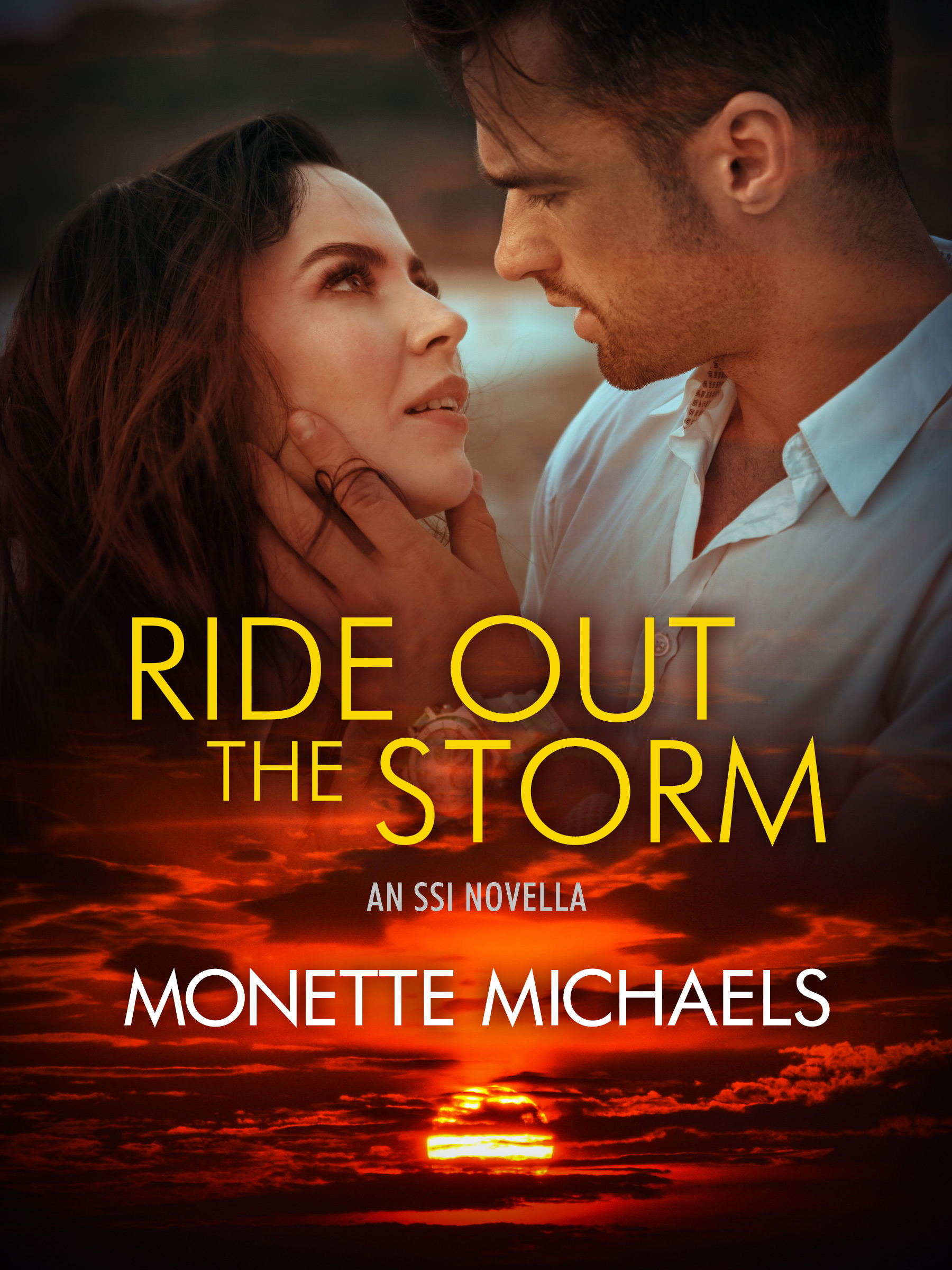This image is the cover for the book Ride Out the Storm, Security Specialists International