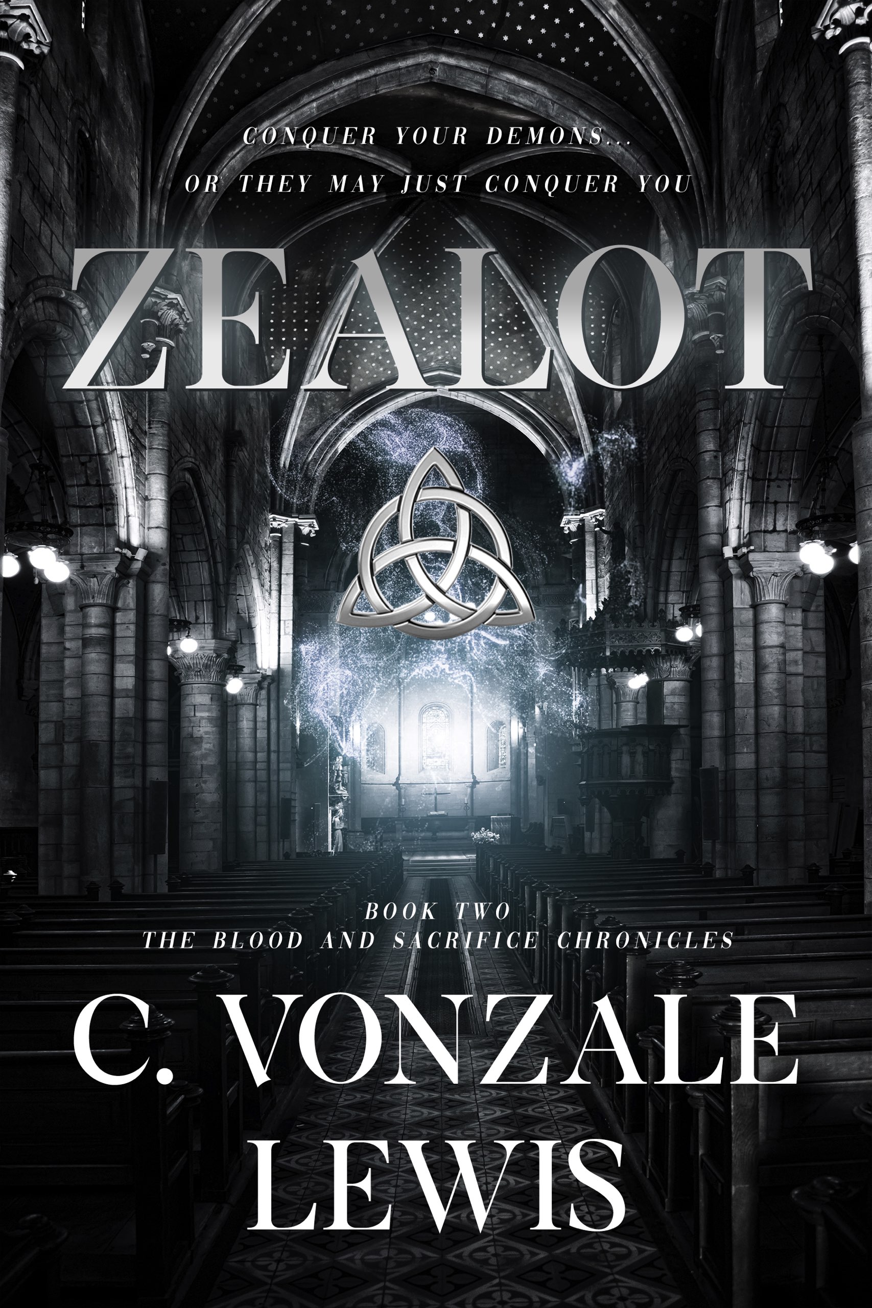 This image is the cover for the book Zealot