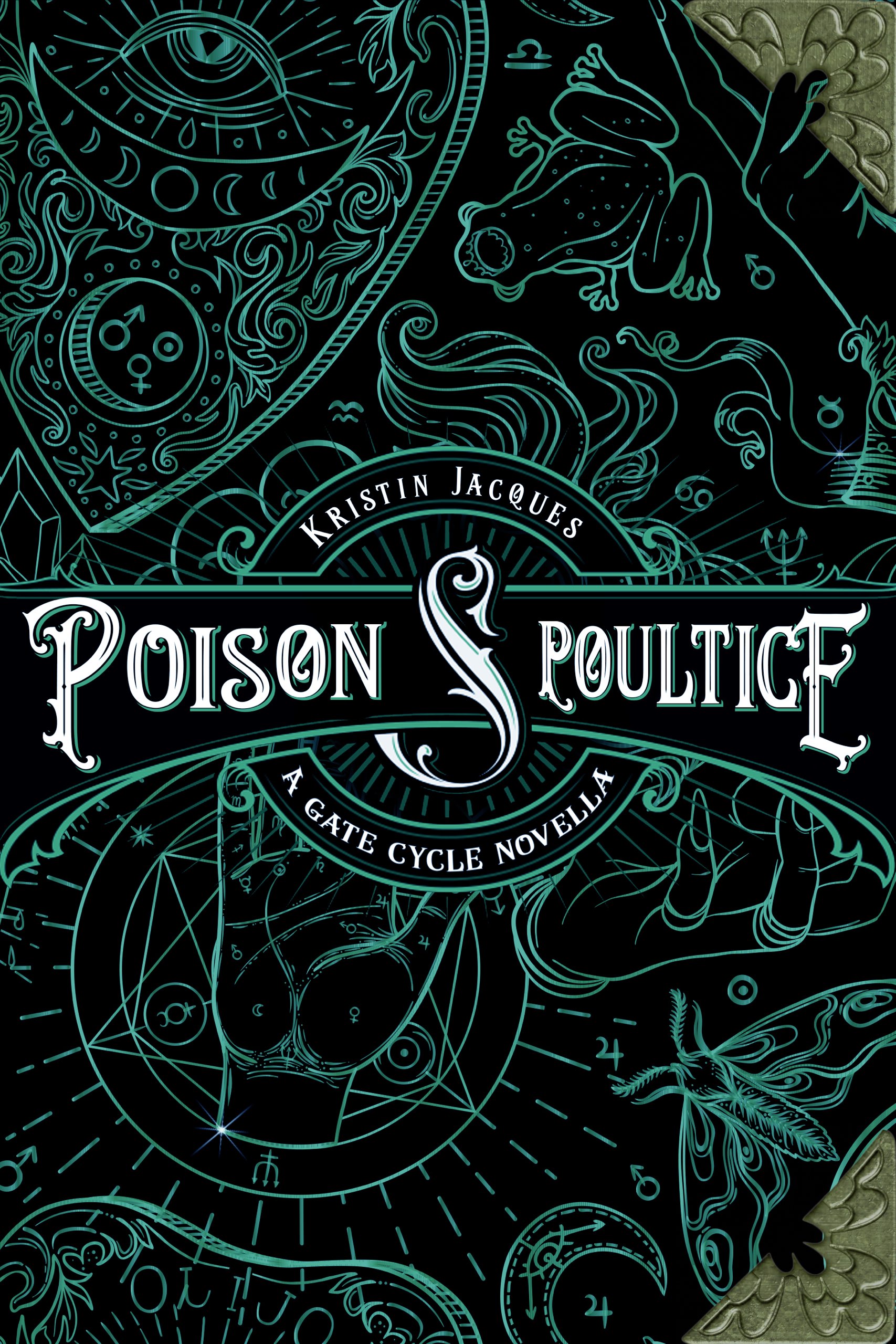 This image is the cover for the book Poison and Poultice
