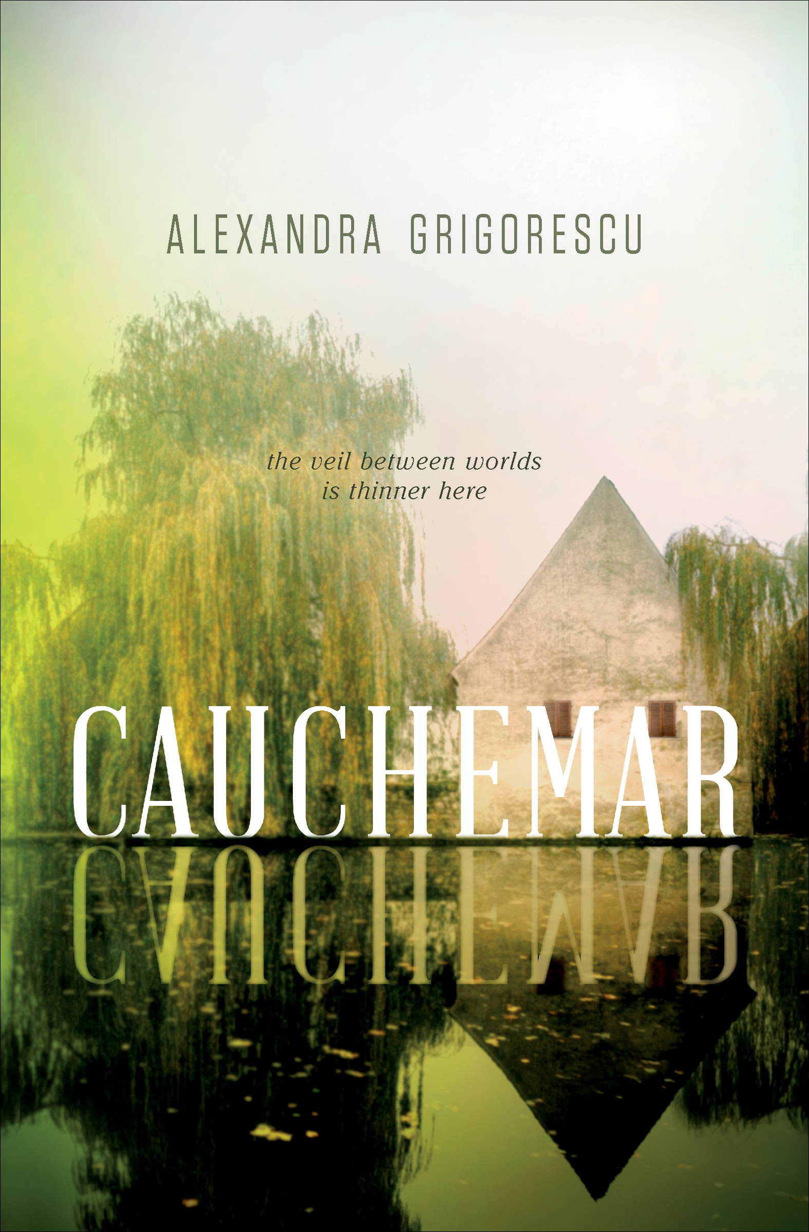 This image is the cover for the book Cauchemar