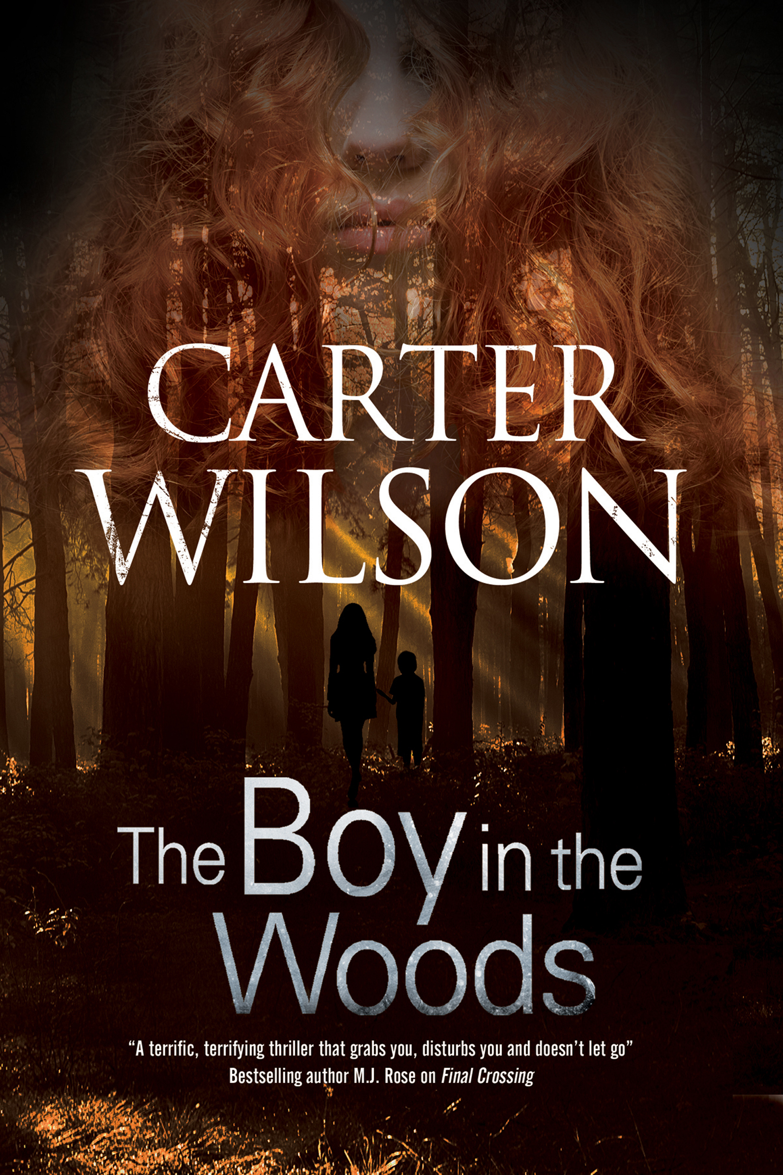 This image is the cover for the book Boy in the Woods