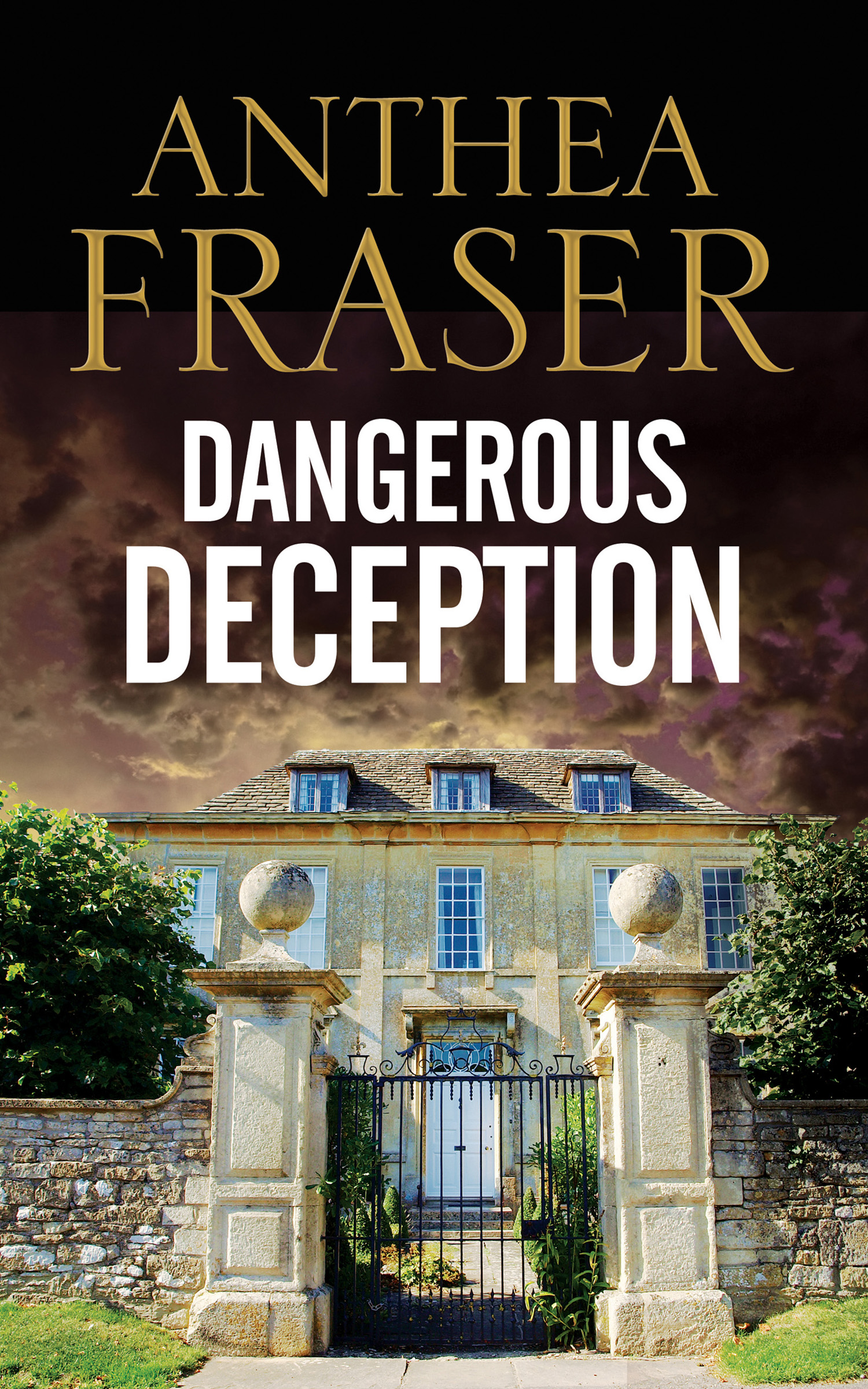 This image is the cover for the book Dangerous Deception