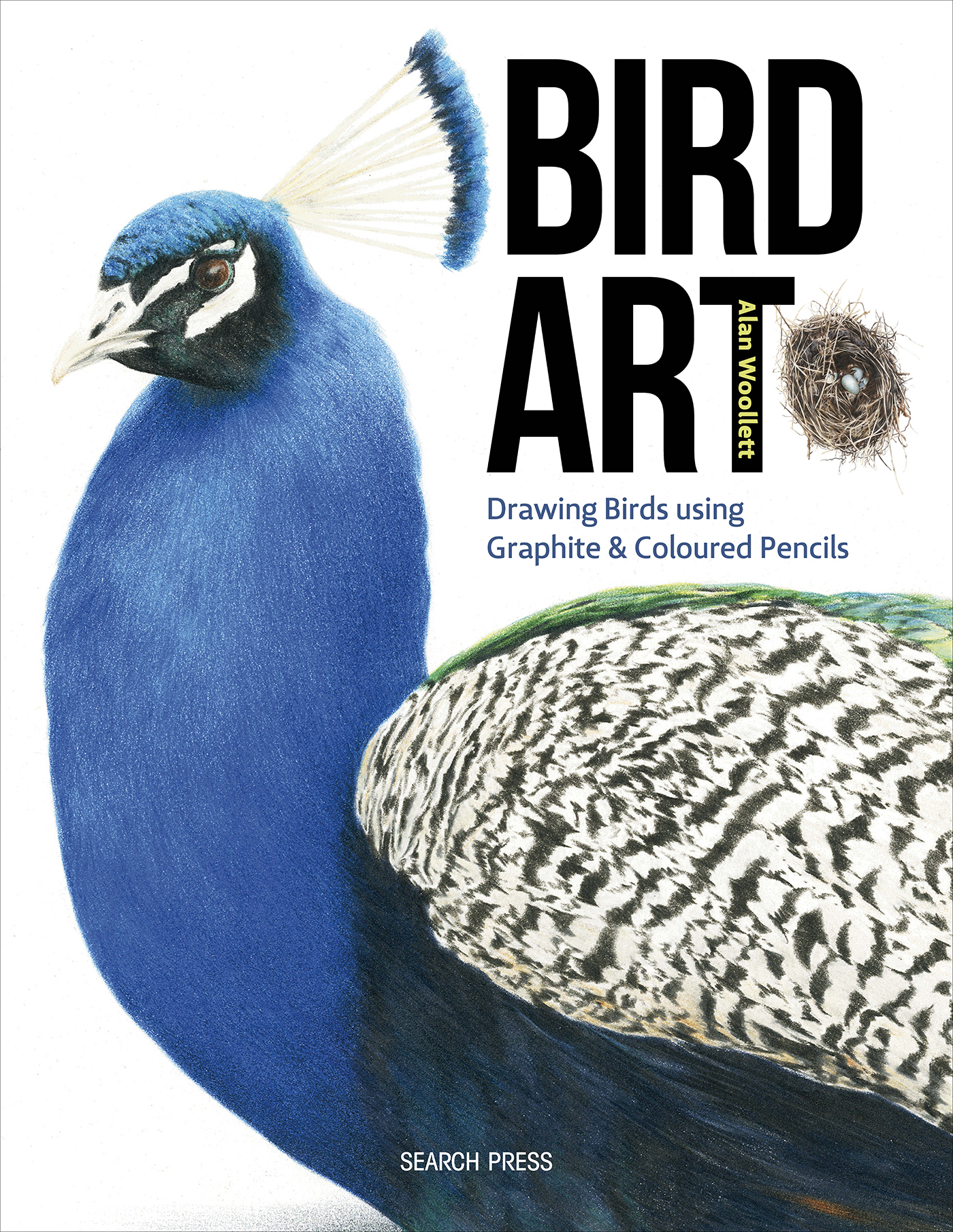 This image is the cover for the book Bird Art