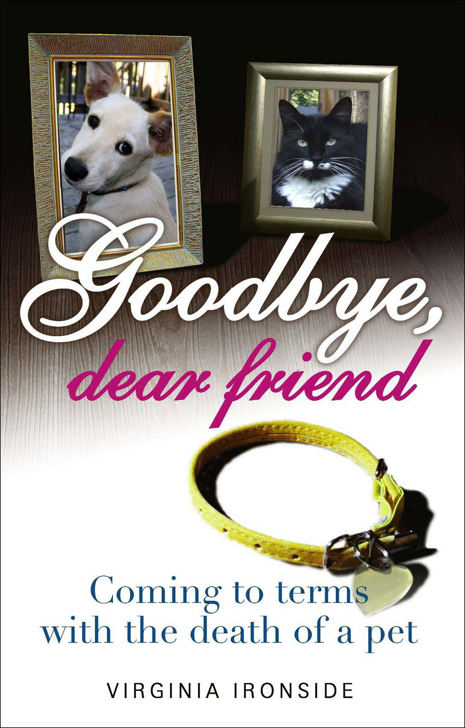 This image is the cover for the book Goodbye, Dear Friend