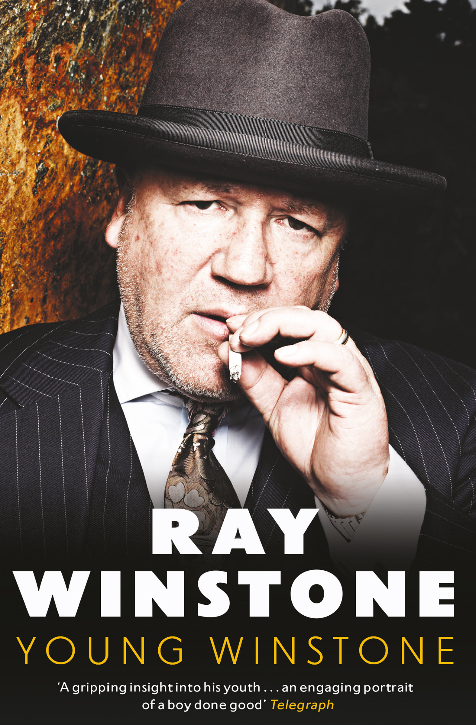 This image is the cover for the book Young Winstone