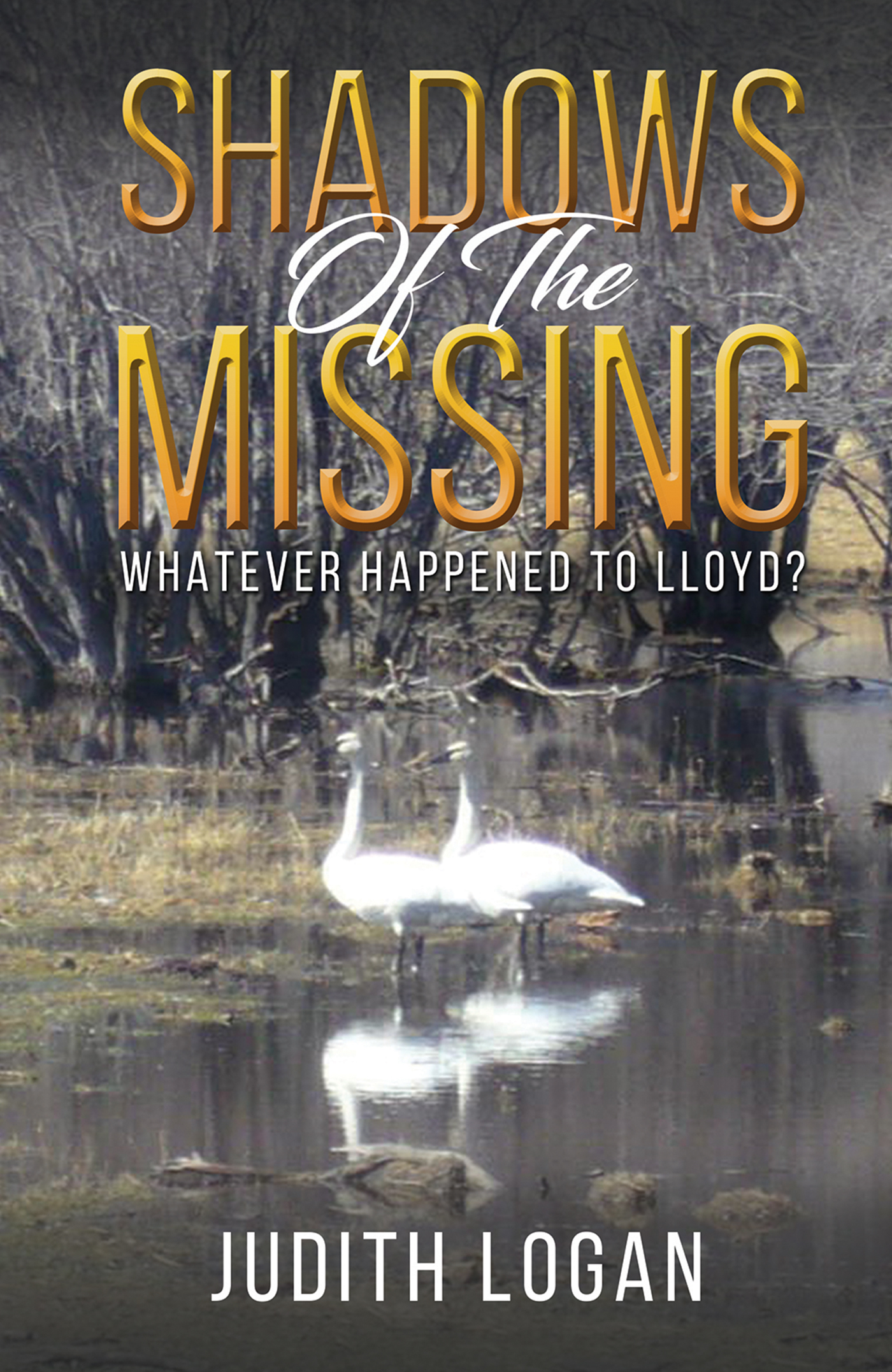 This image is the cover for the book Shadows of the Missing