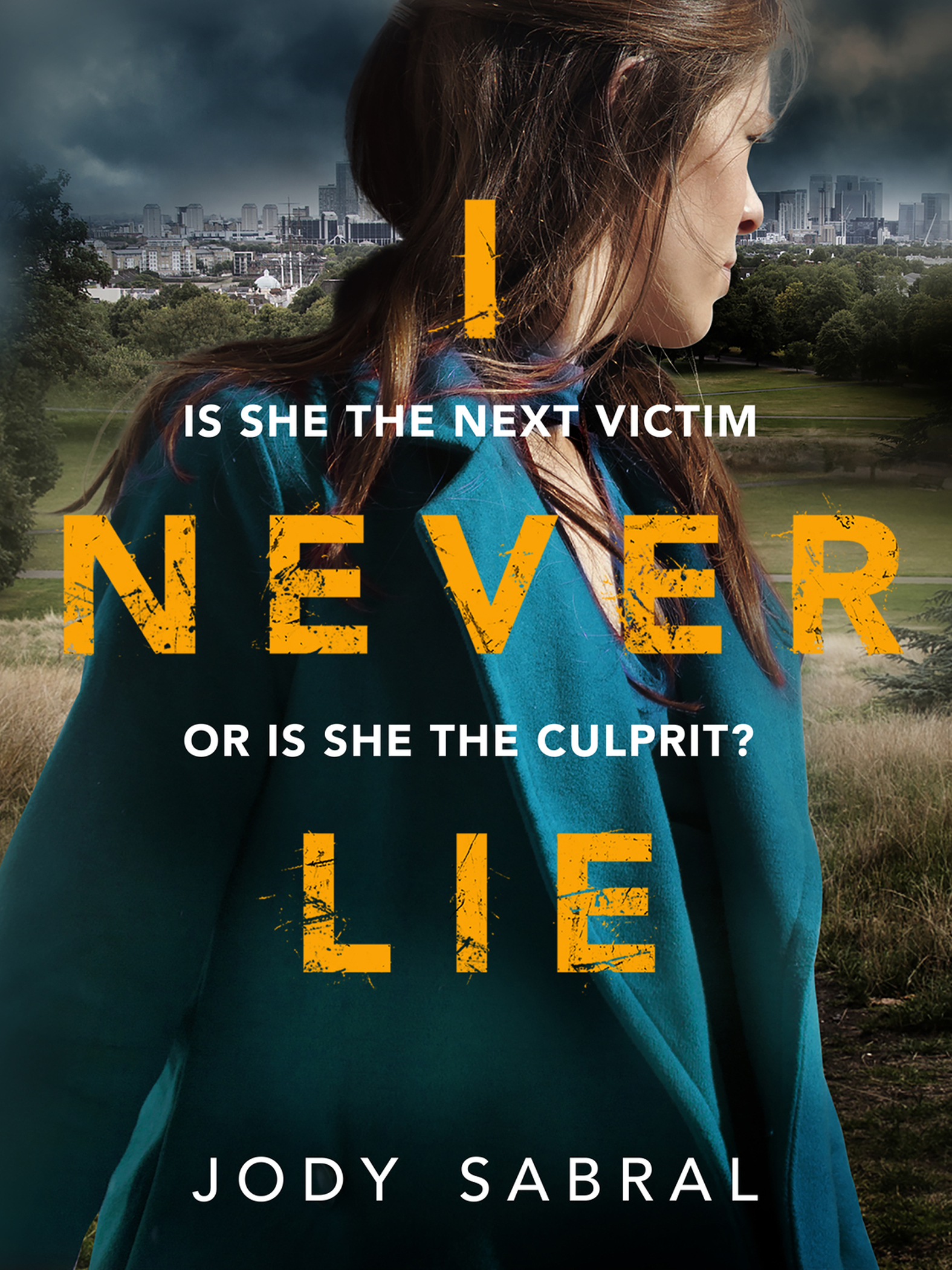 This image is the cover for the book I Never Lie