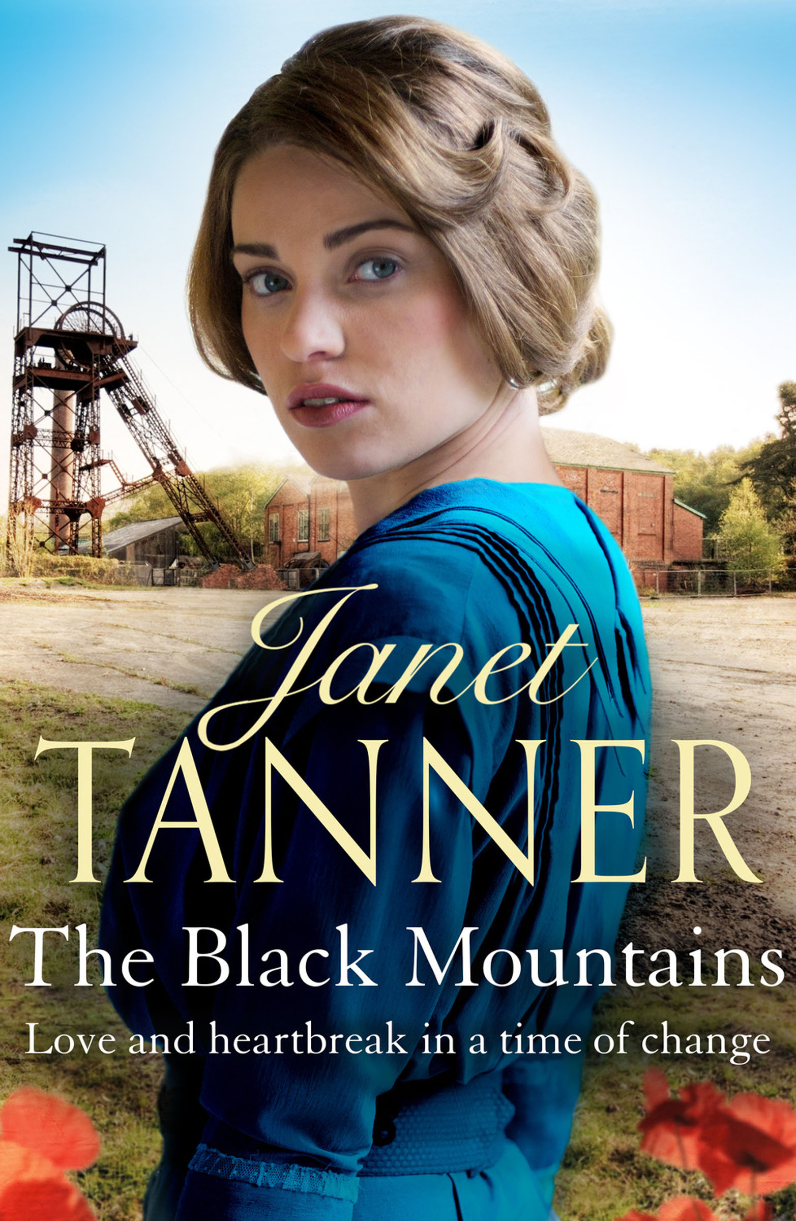 This image is the cover for the book Black Mountains, The Hillsbridge Sagas