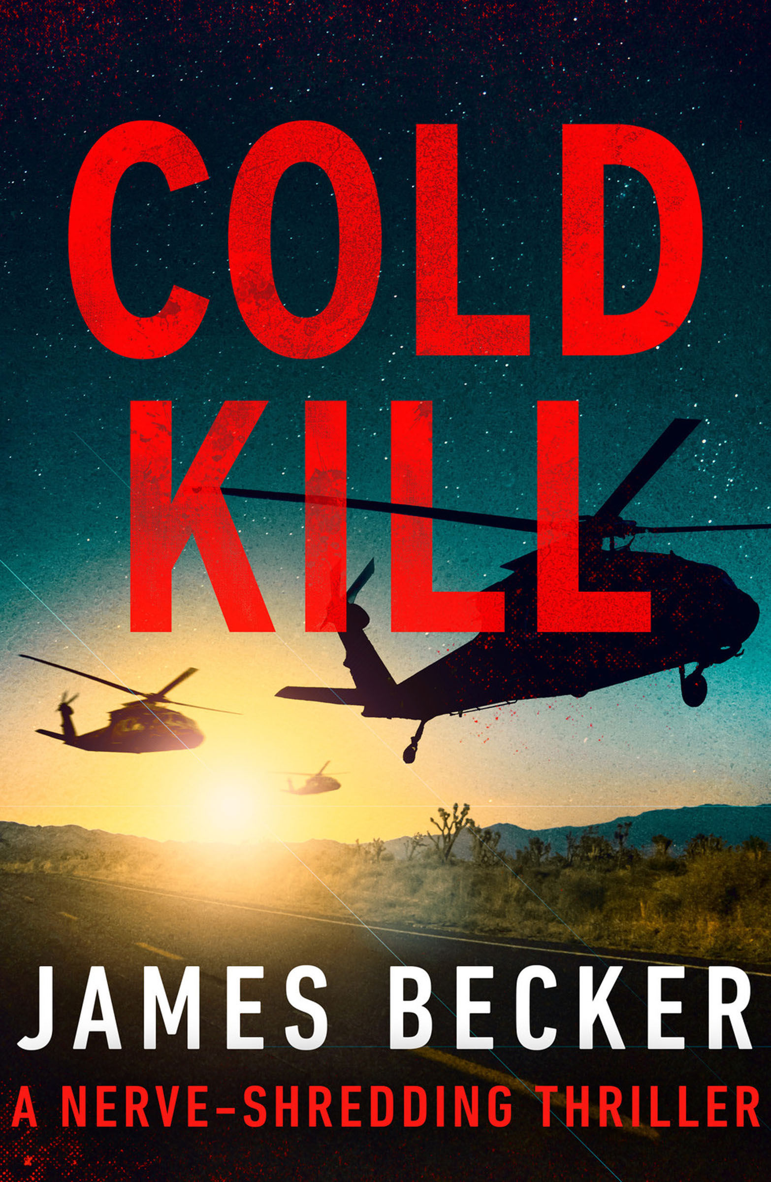 This image is the cover for the book Cold Kill