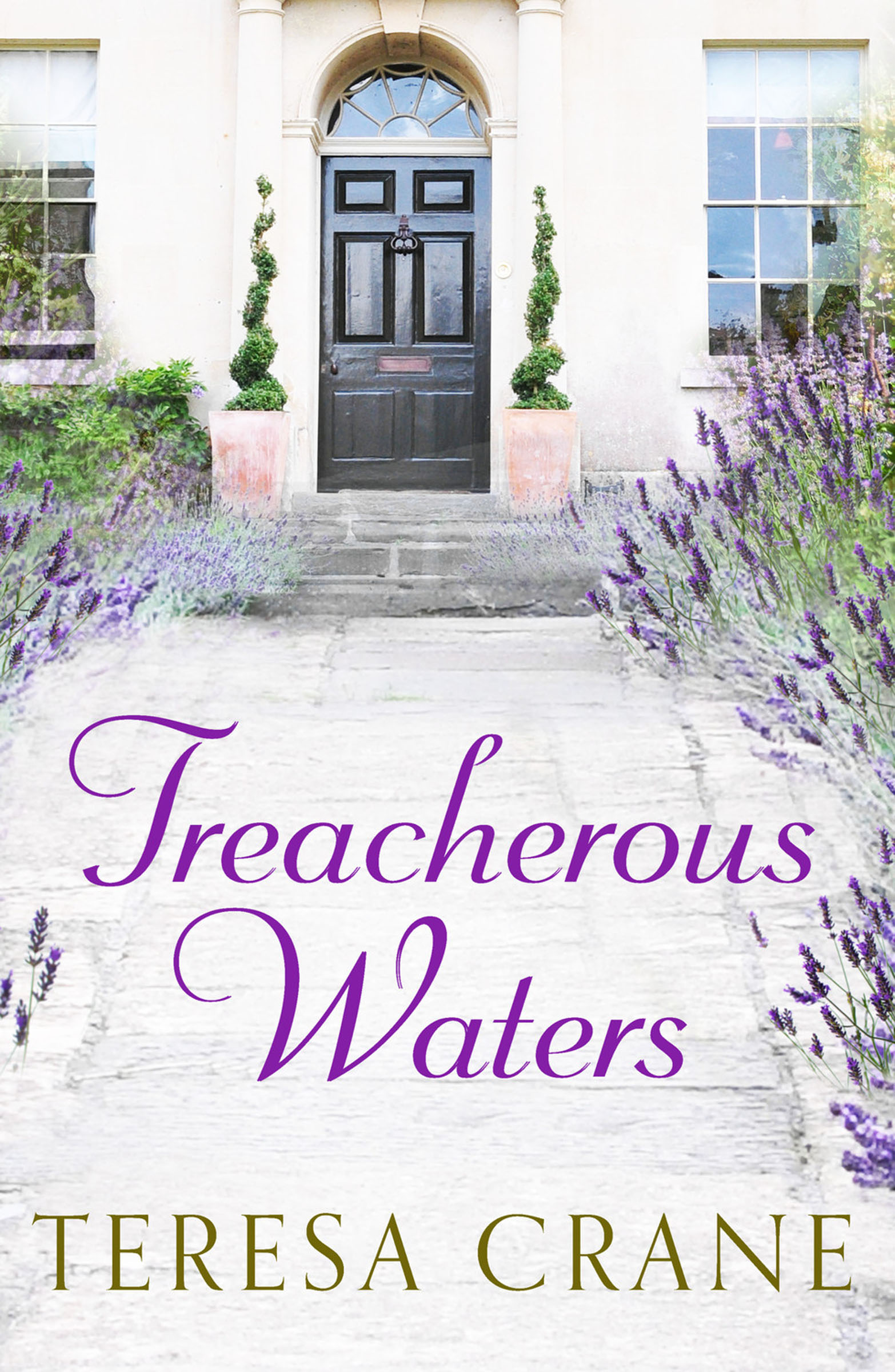 This image is the cover for the book Treacherous Waters