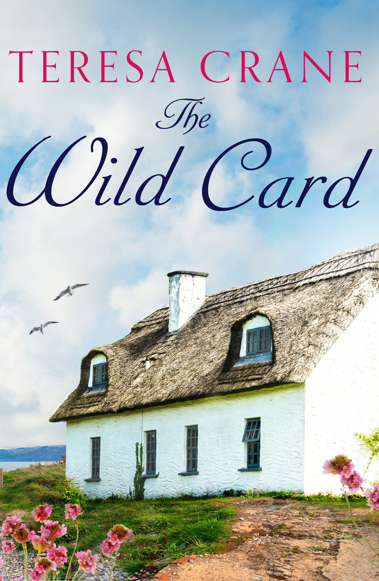 This image is the cover for the book Wild Card