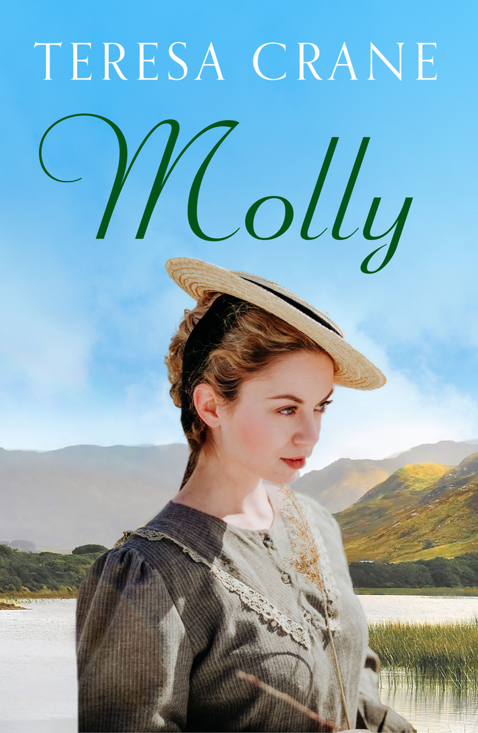 This image is the cover for the book Molly