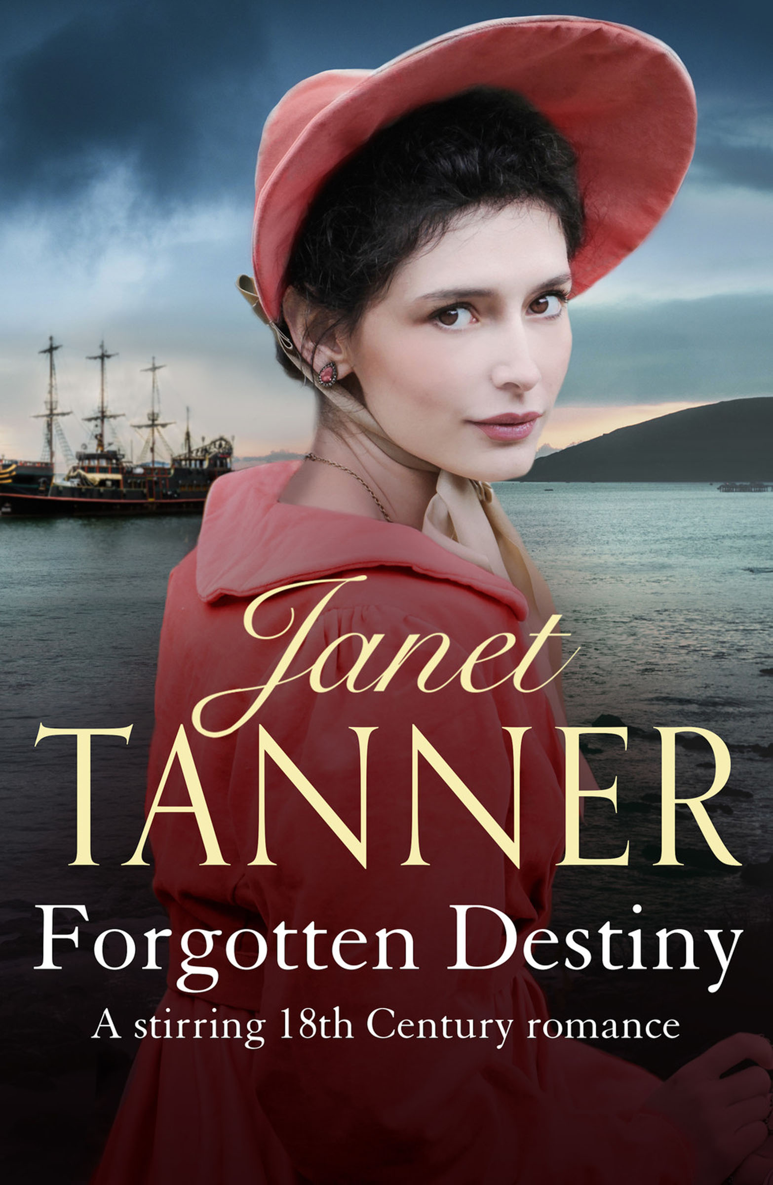 This image is the cover for the book Forgotten Destiny