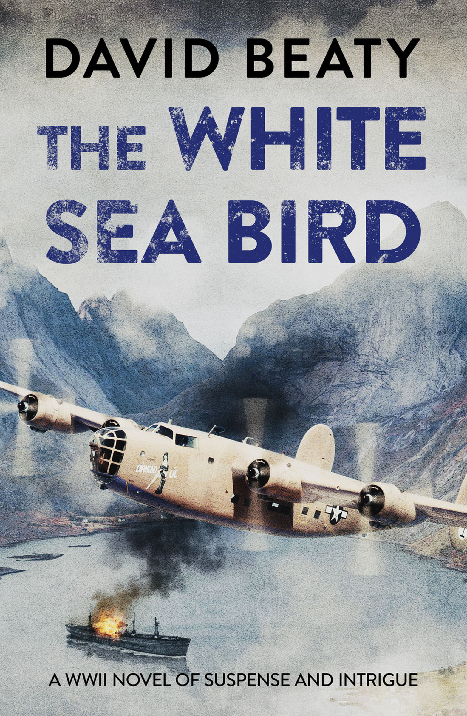 This image is the cover for the book White Sea Bird