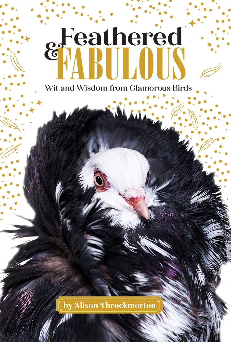 This image is the cover for the book Feathered & Fabulous