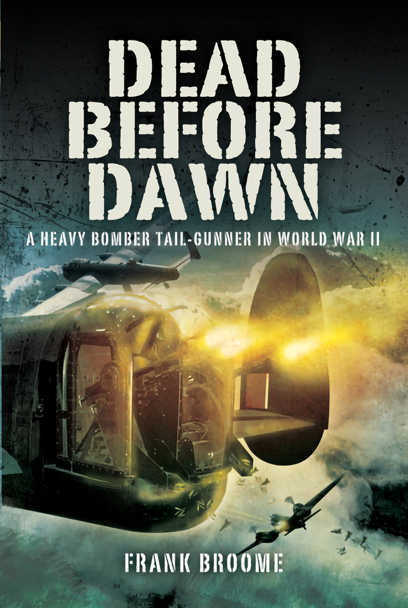 This image is the cover for the book Dead Before Dawn