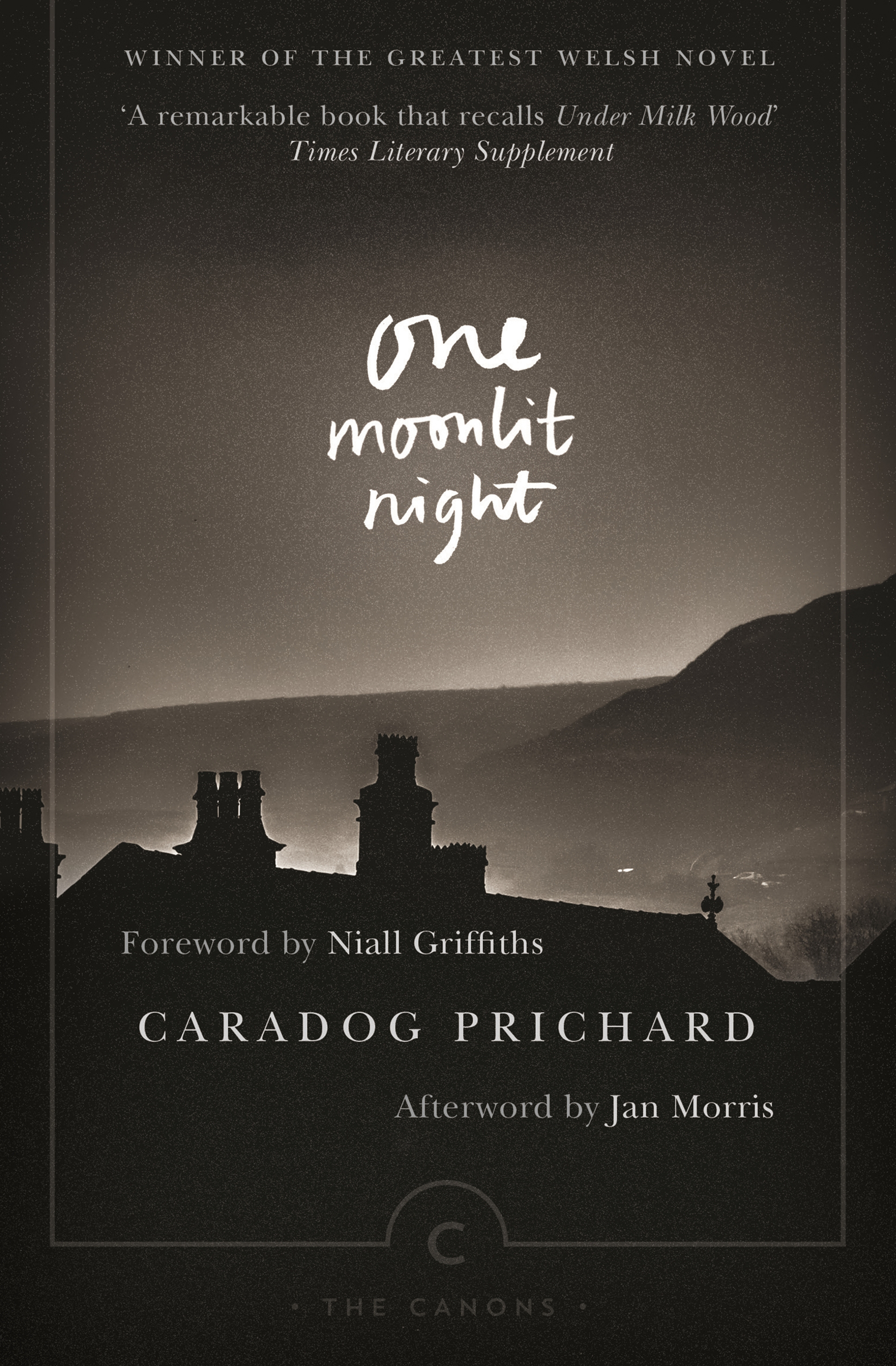 This image is the cover for the book One Moonlit Night