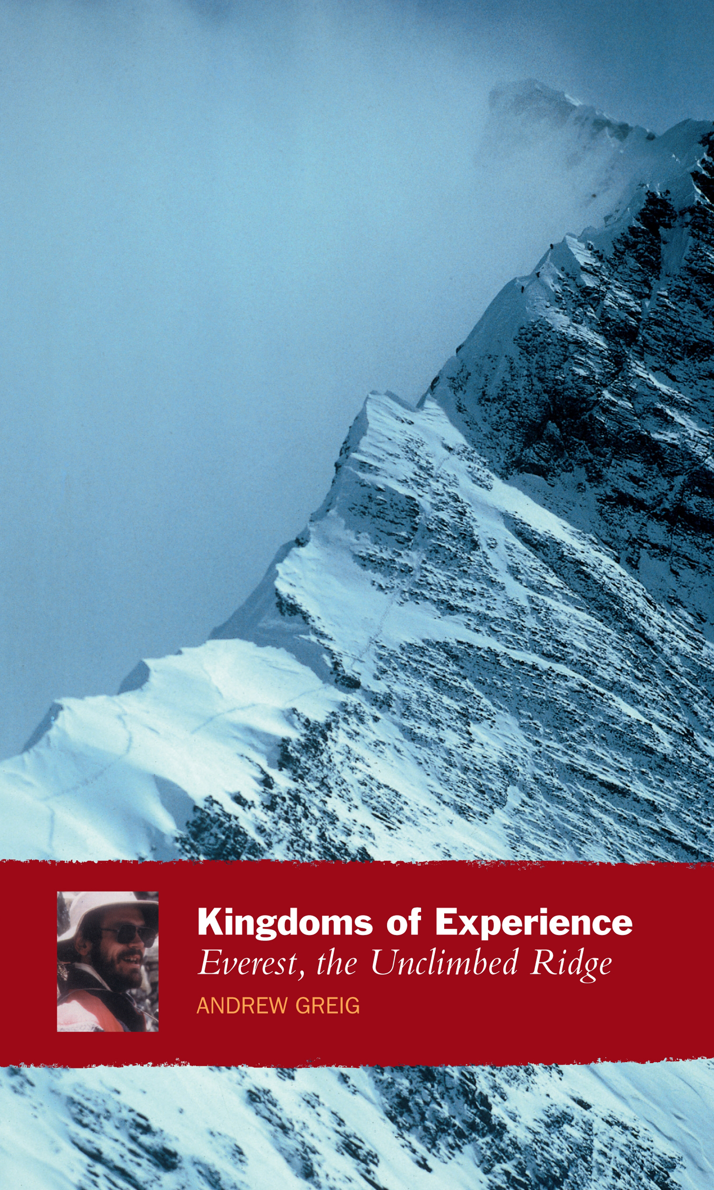 This image is the cover for the book Kingdoms of Experience