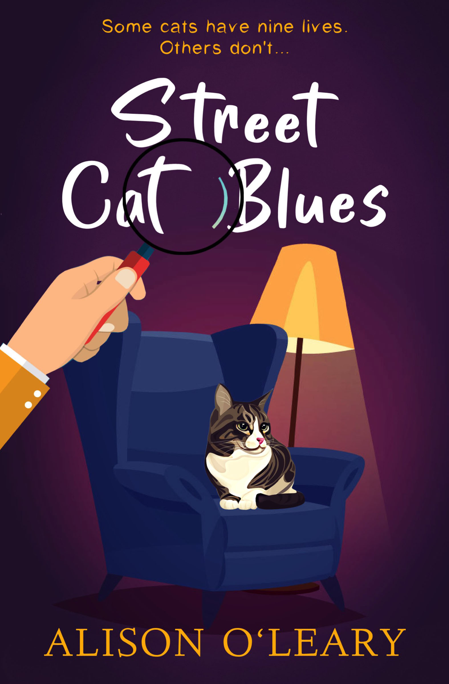 This image is the cover for the book Street Cat Blues, Cat Noir