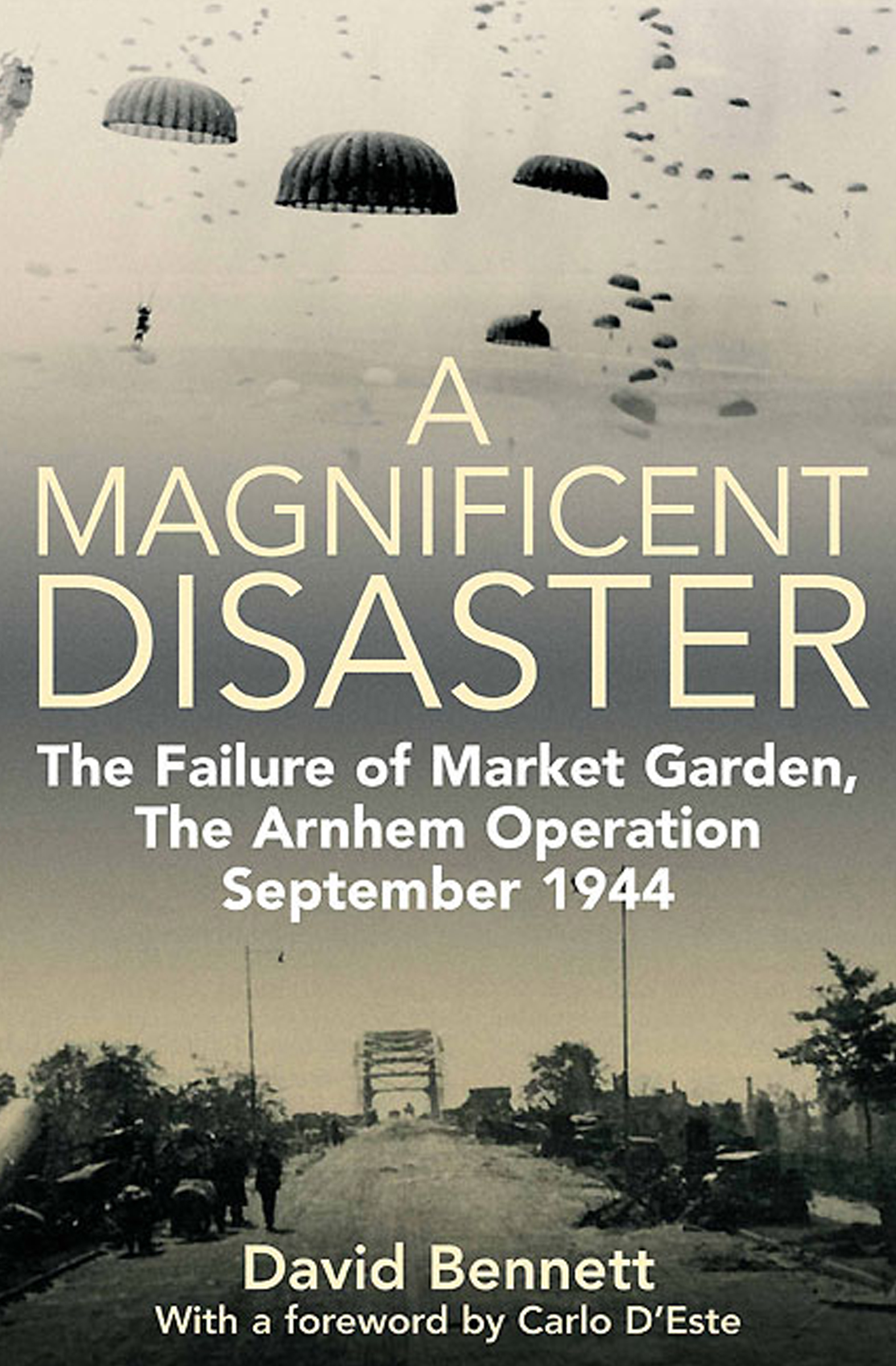 This image is the cover for the book Magnificent Disaster