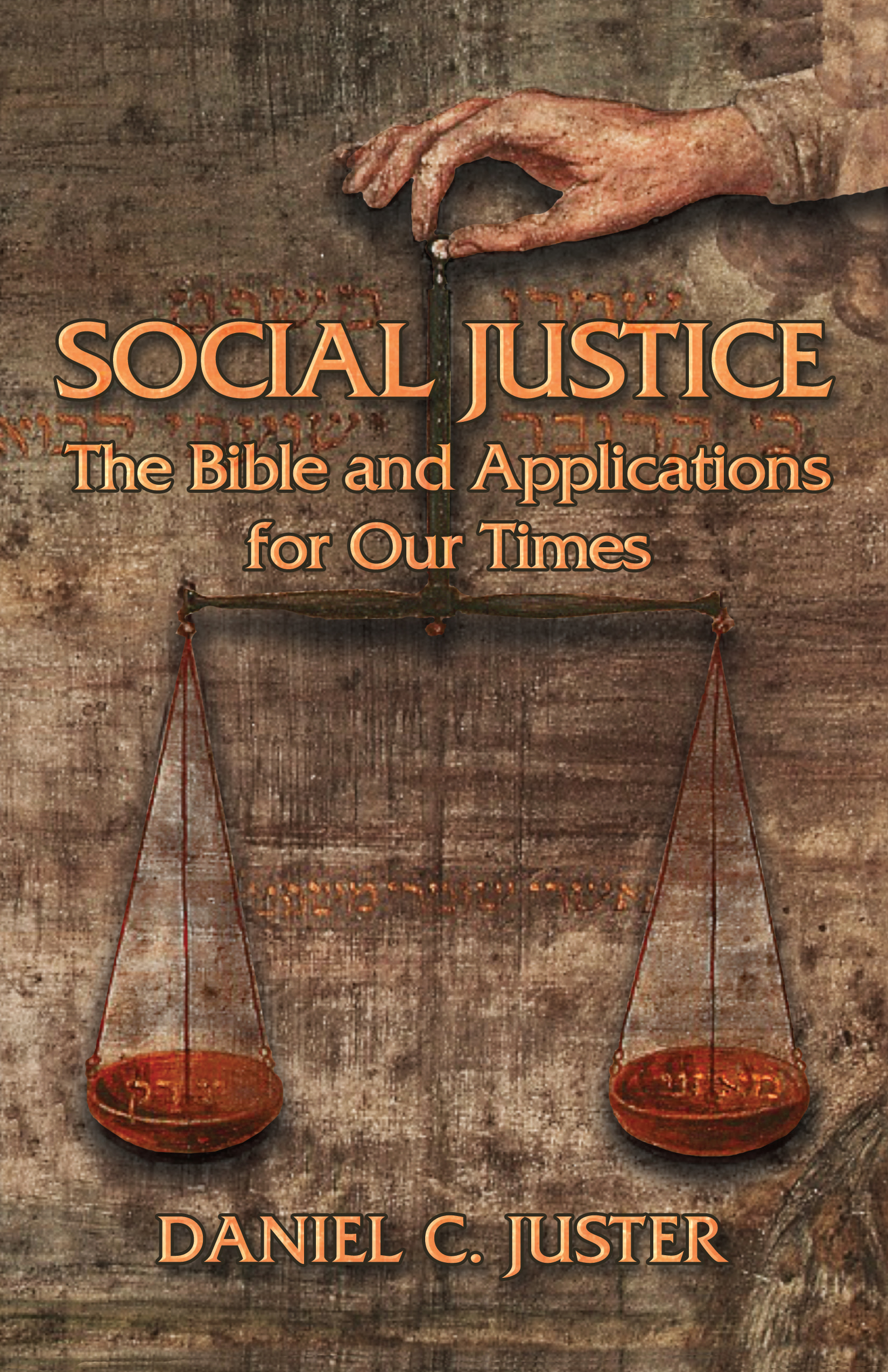 This image is the cover for the book Social Justice