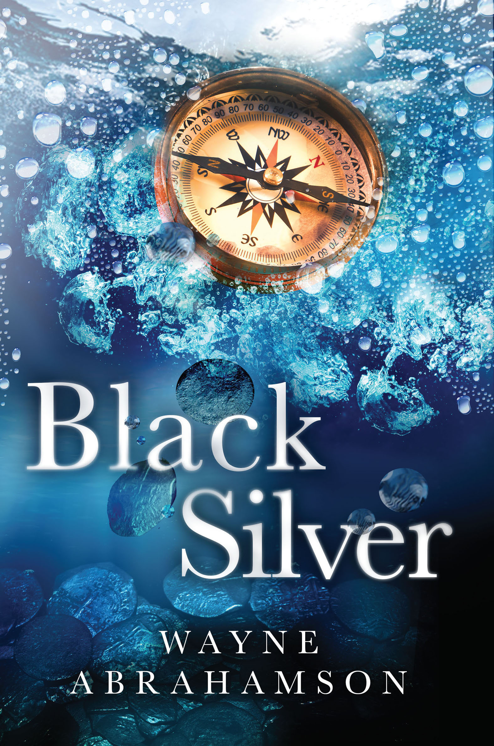 This image is the cover for the book Black Silver