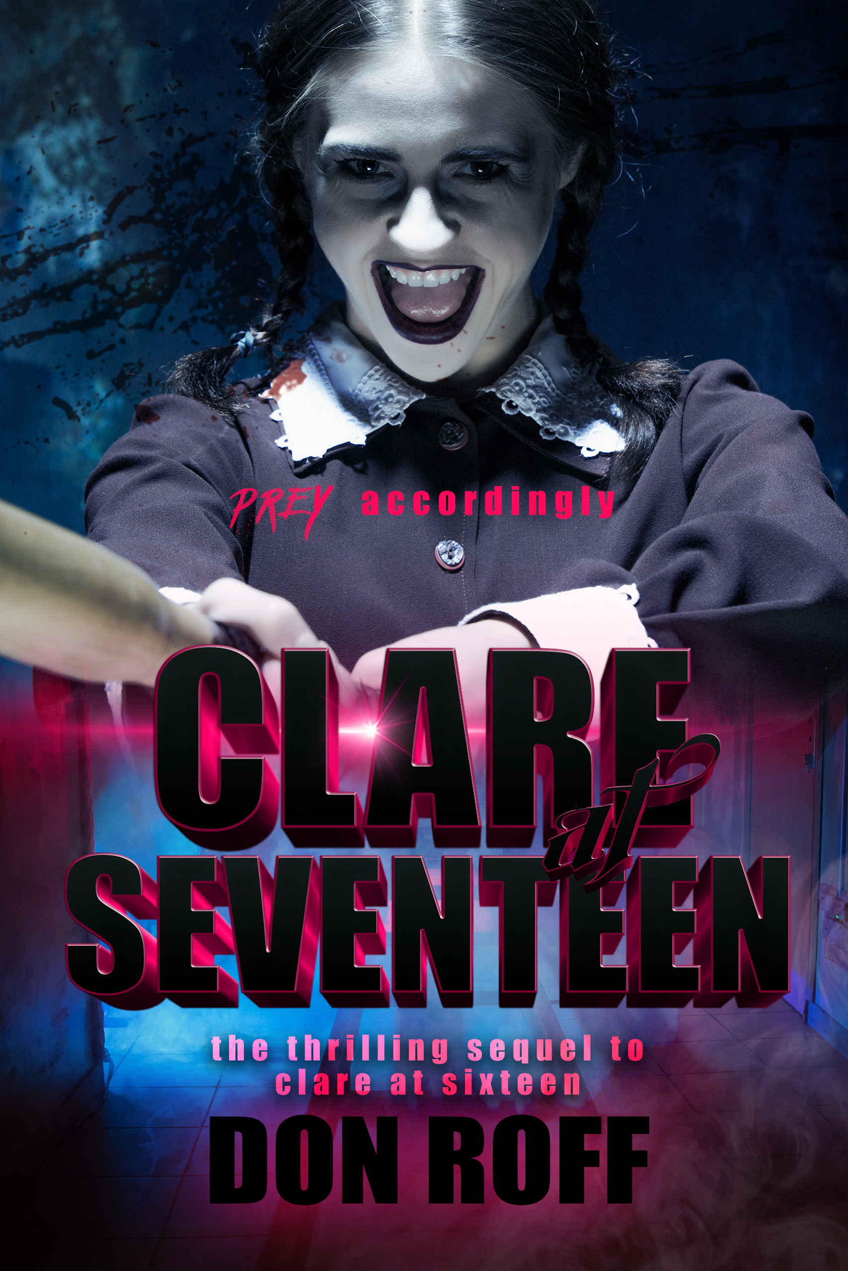 This image is the cover for the book Clare at Seventeen, Clare
