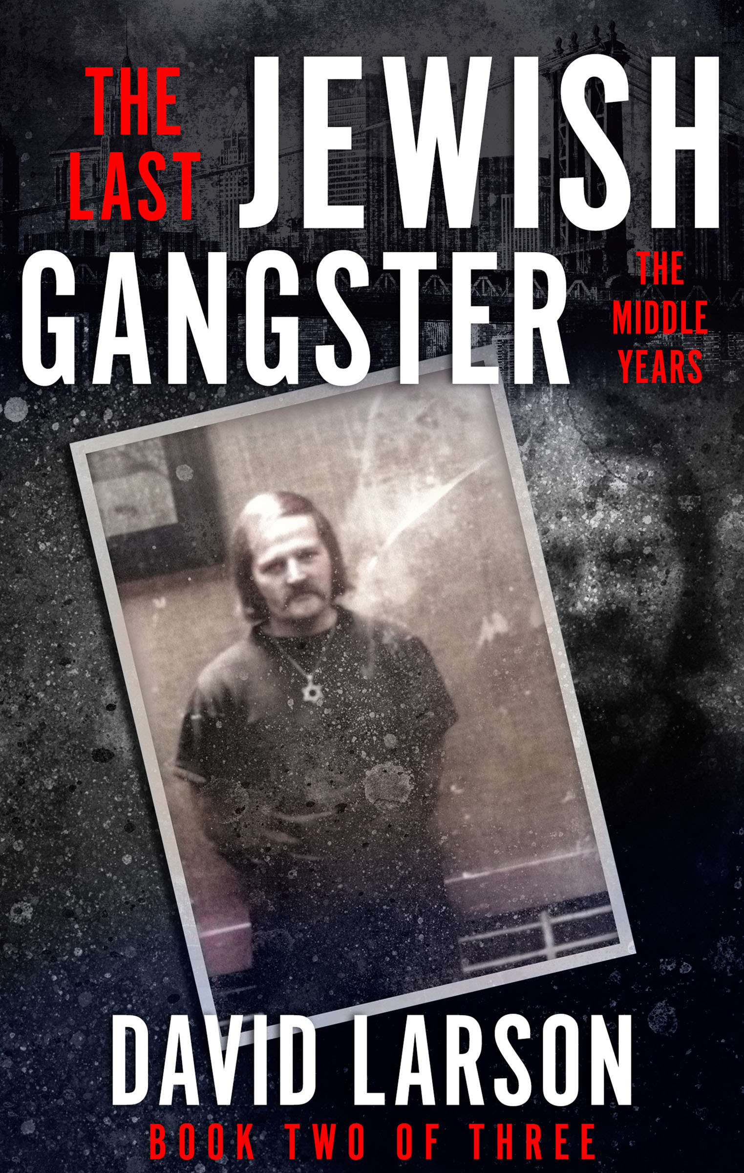 This image is the cover for the book Last Jewish Gangster: The Middle Years