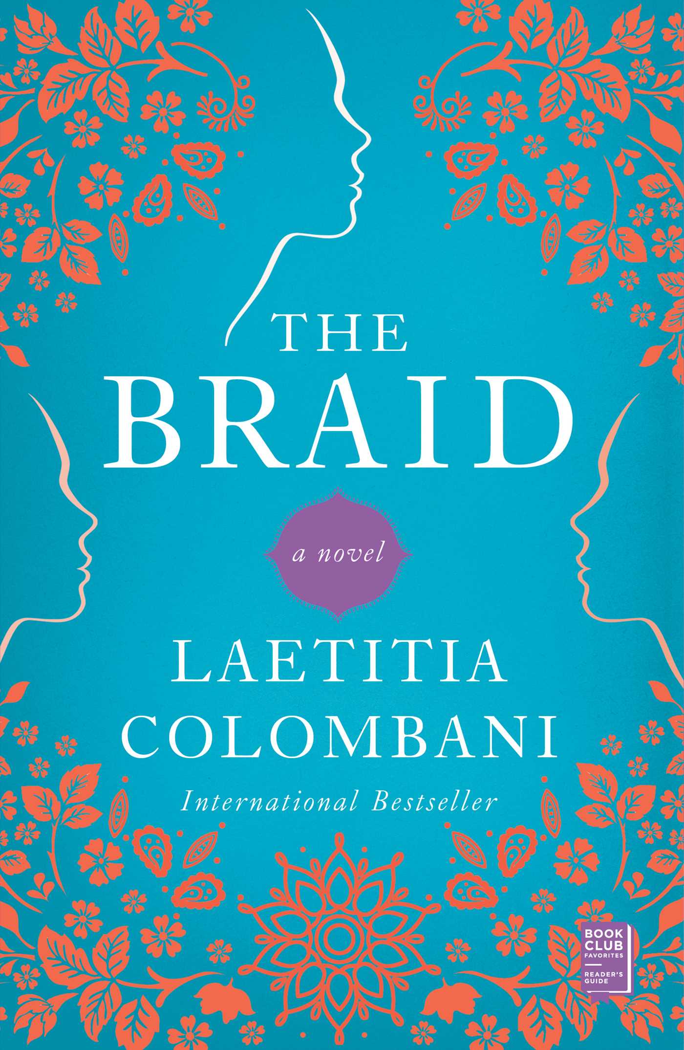 This image is the cover for the book Braid