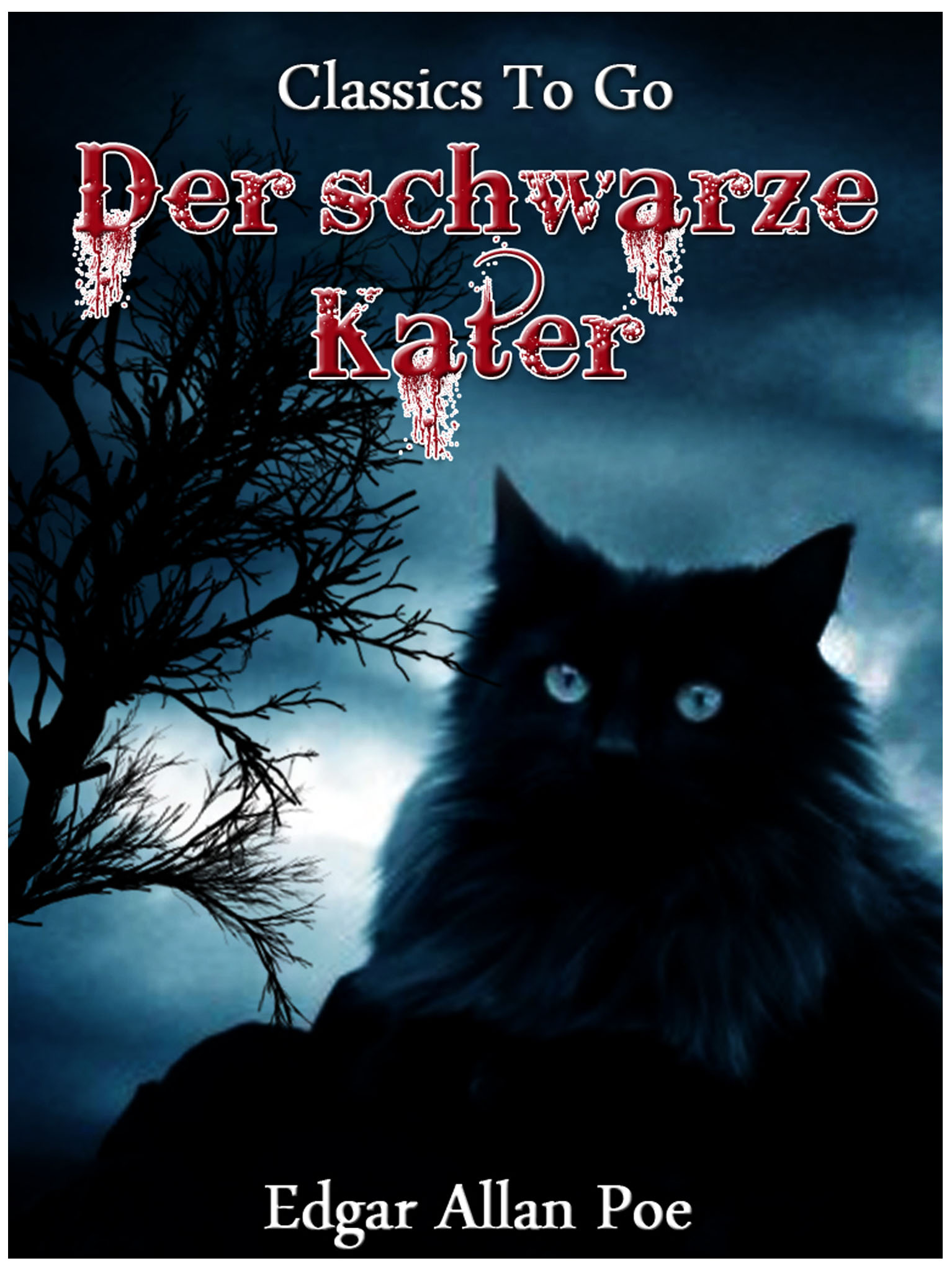 This image is the cover for the book Der schwarze Kater, Classics To Go