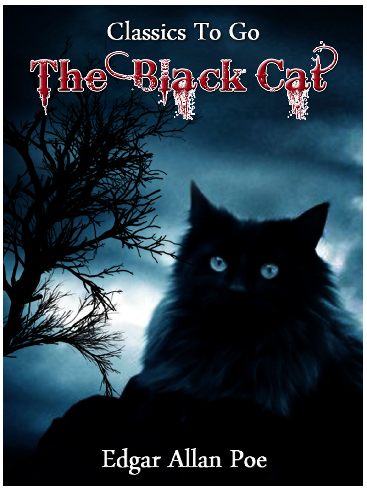 This image is the cover for the book The Black Cat, Classics To Go